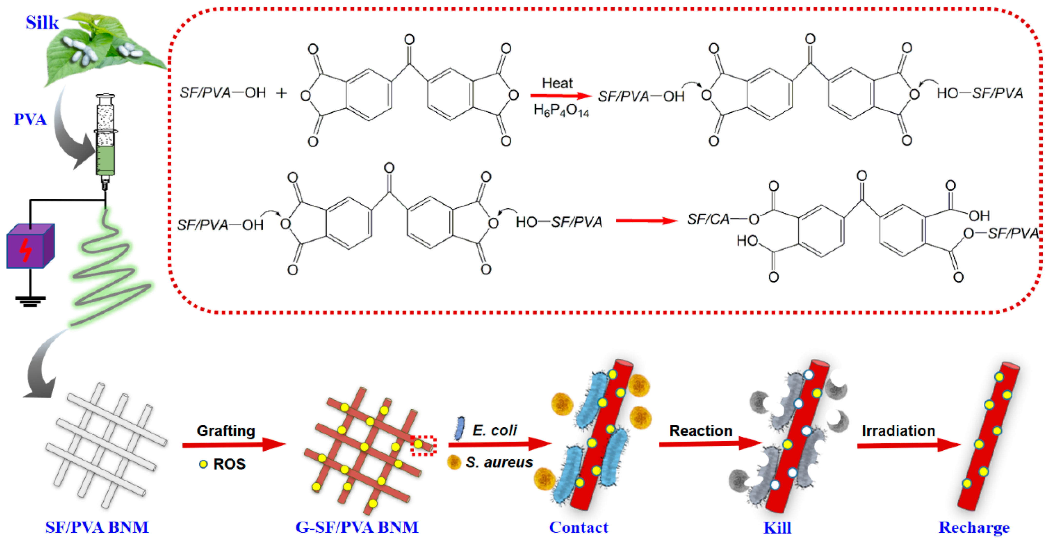 Polymers 14 02499 g001