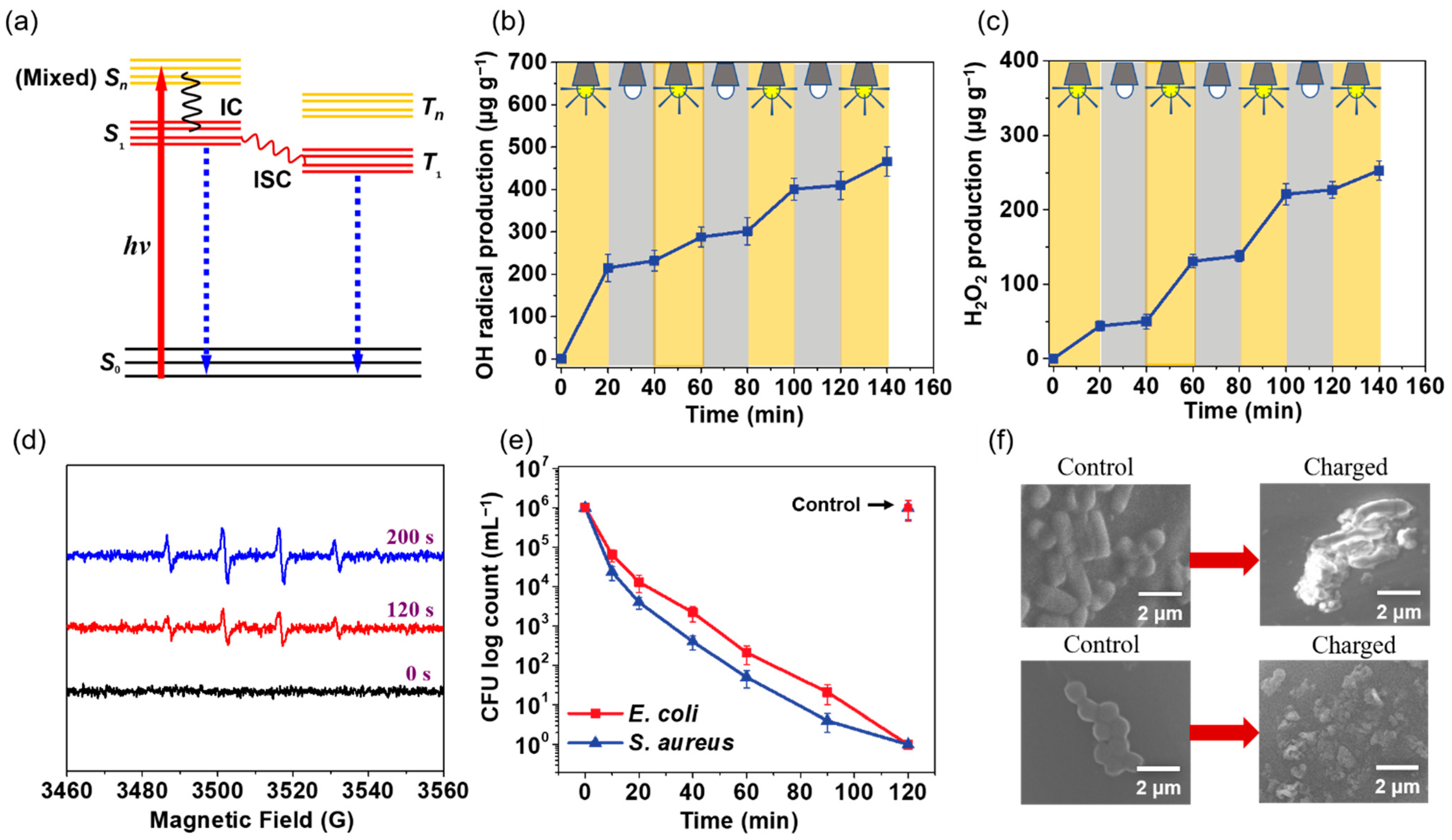 Polymers 14 02499 g005