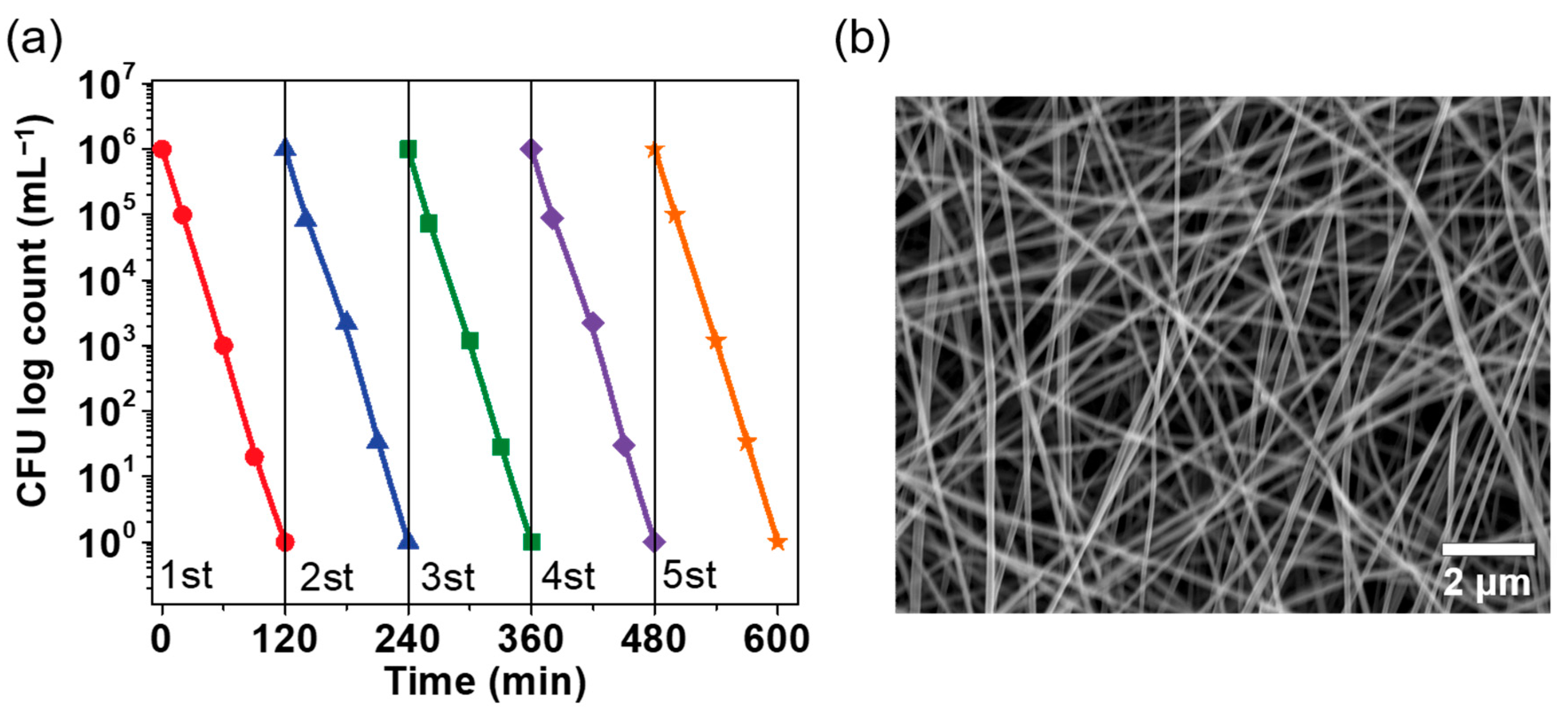Polymers 14 02499 g007