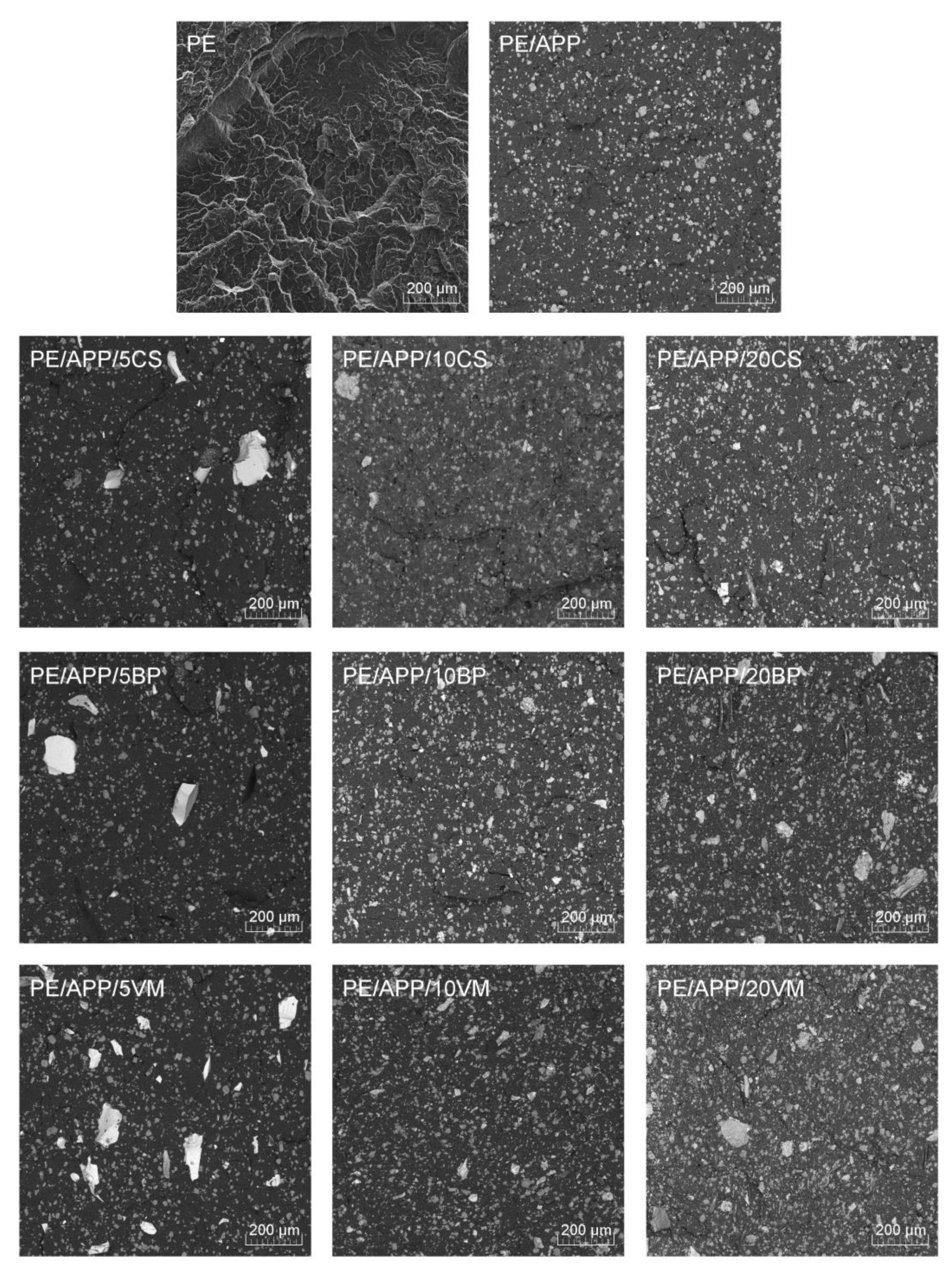 Polymers 14 02501 g002