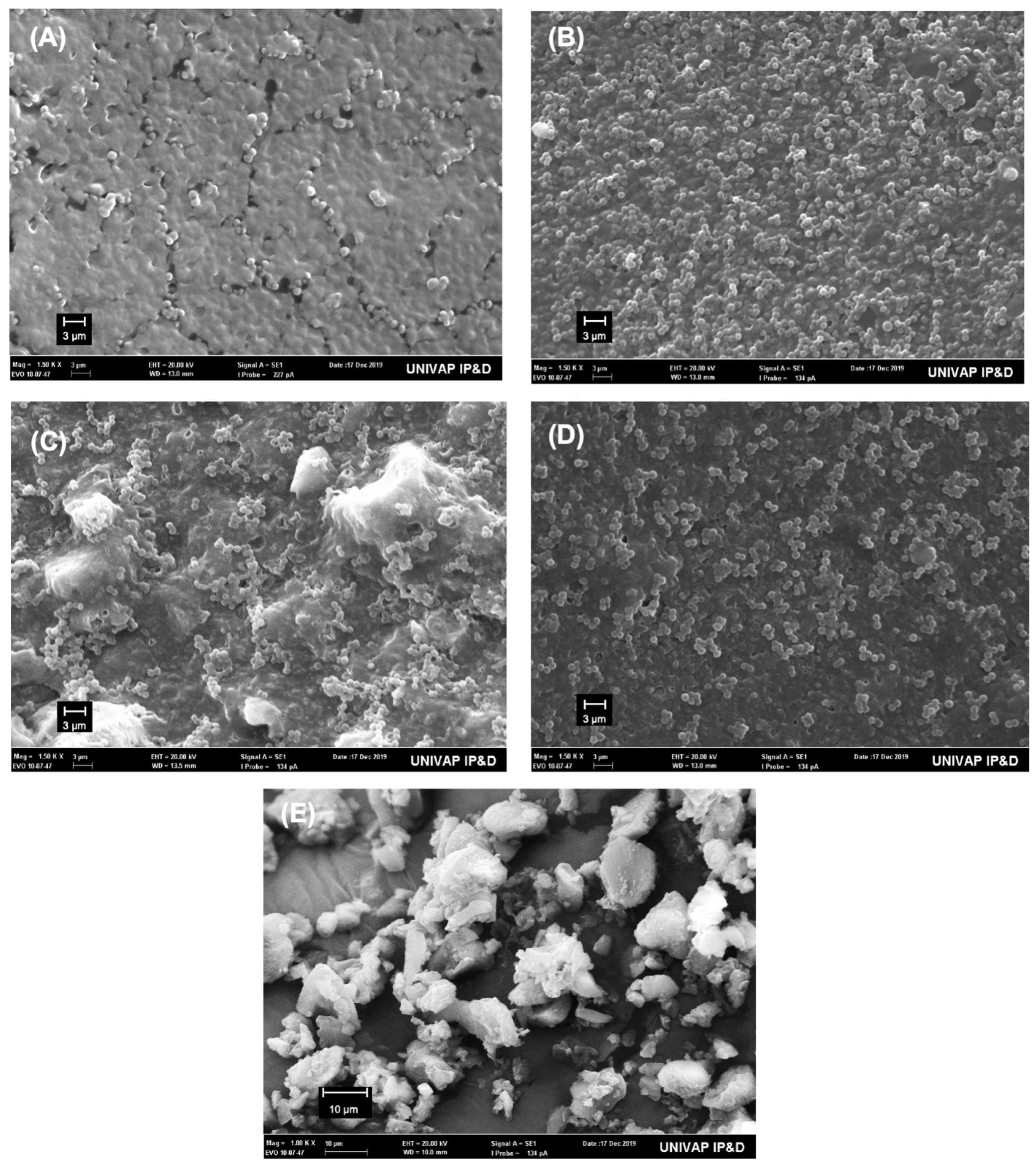 Polymers 14 02502 g001