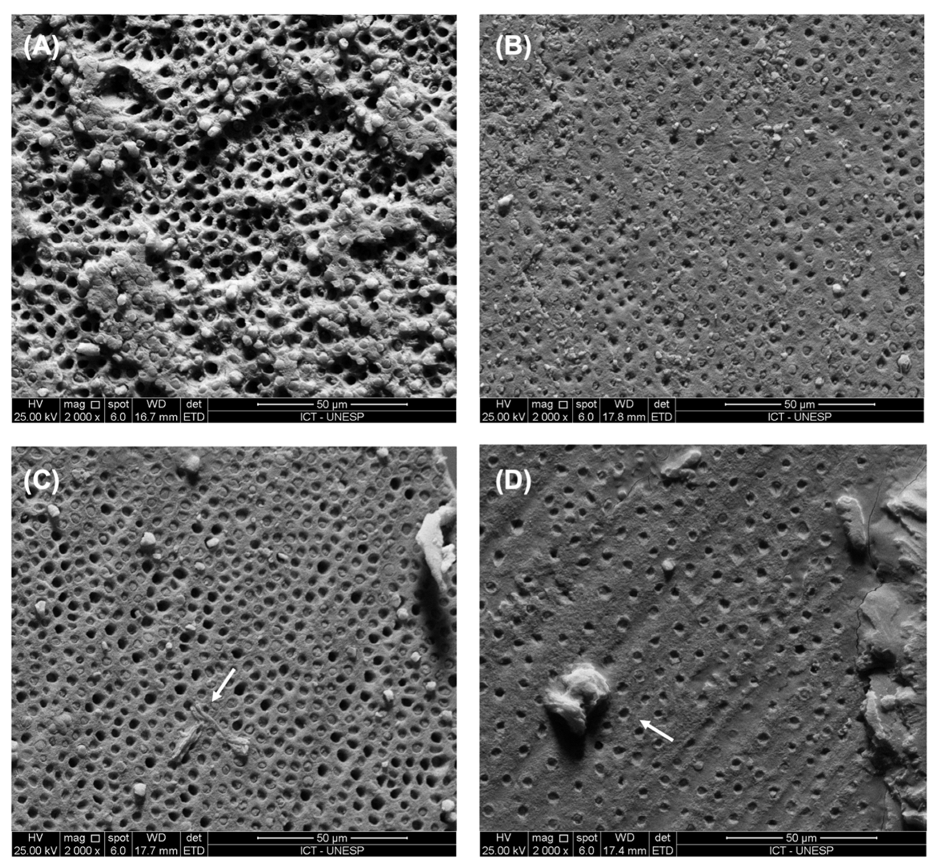 Polymers 14 02502 g002