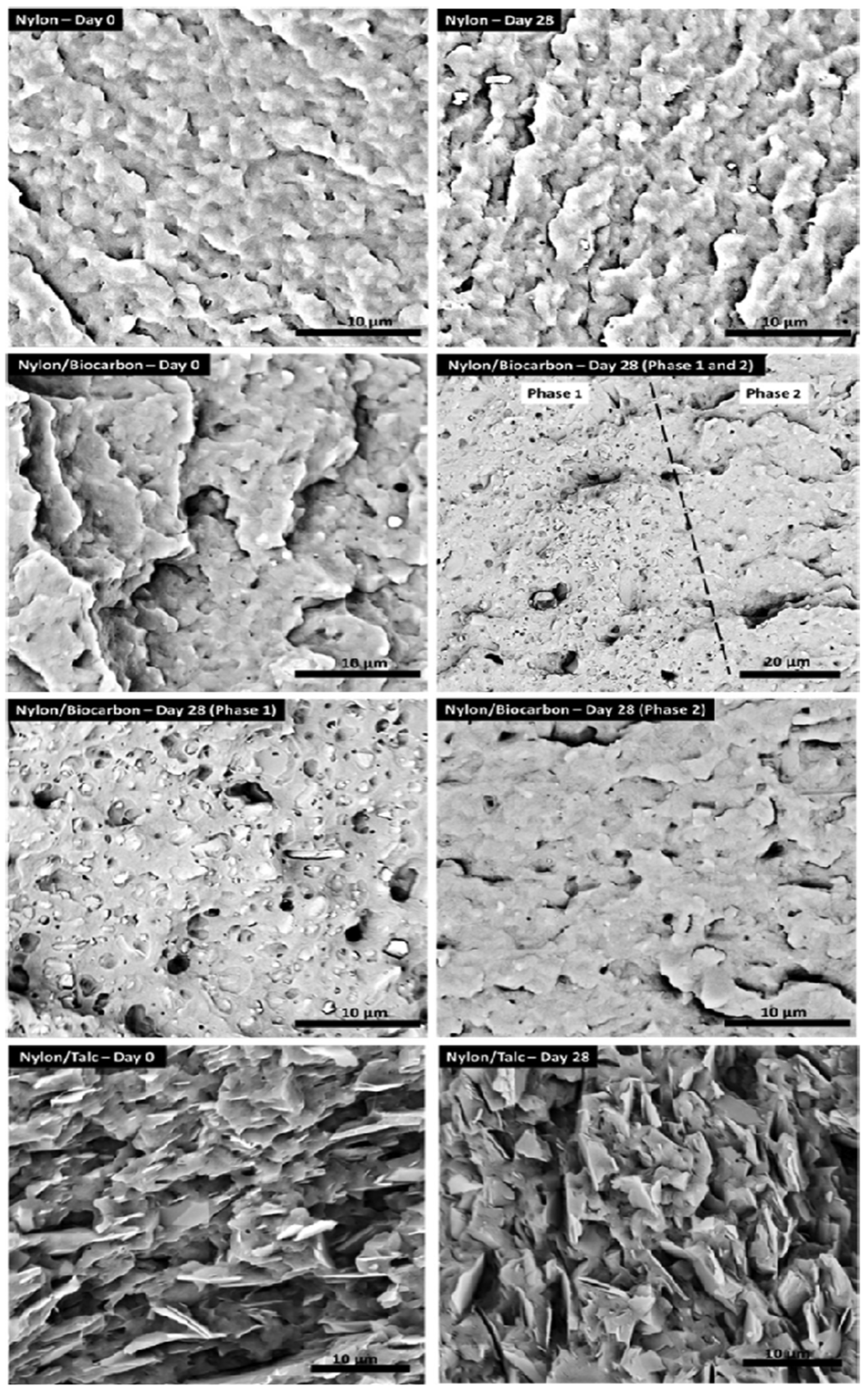 Polymers 14 02506 g007 550