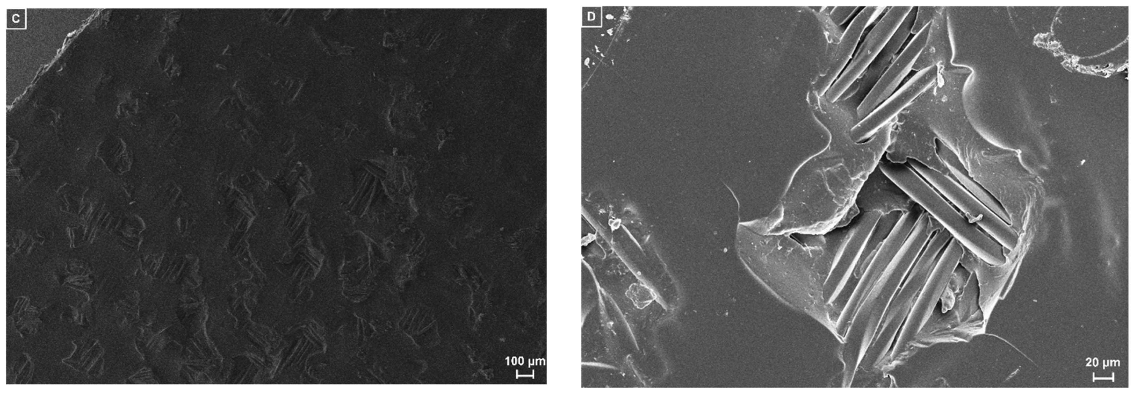 Polymers 14 02508 g003b
