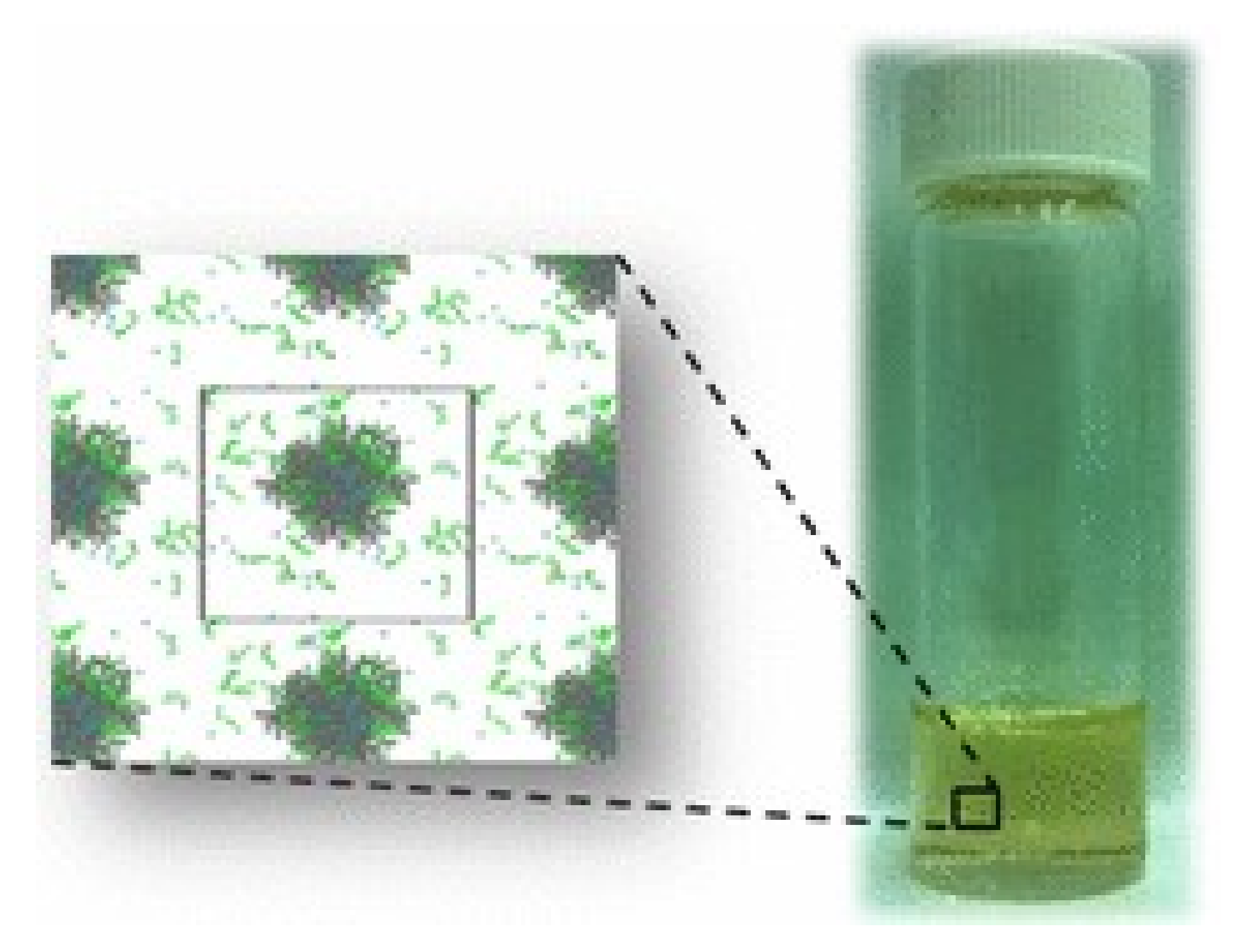 Polymers 14 02510 g006