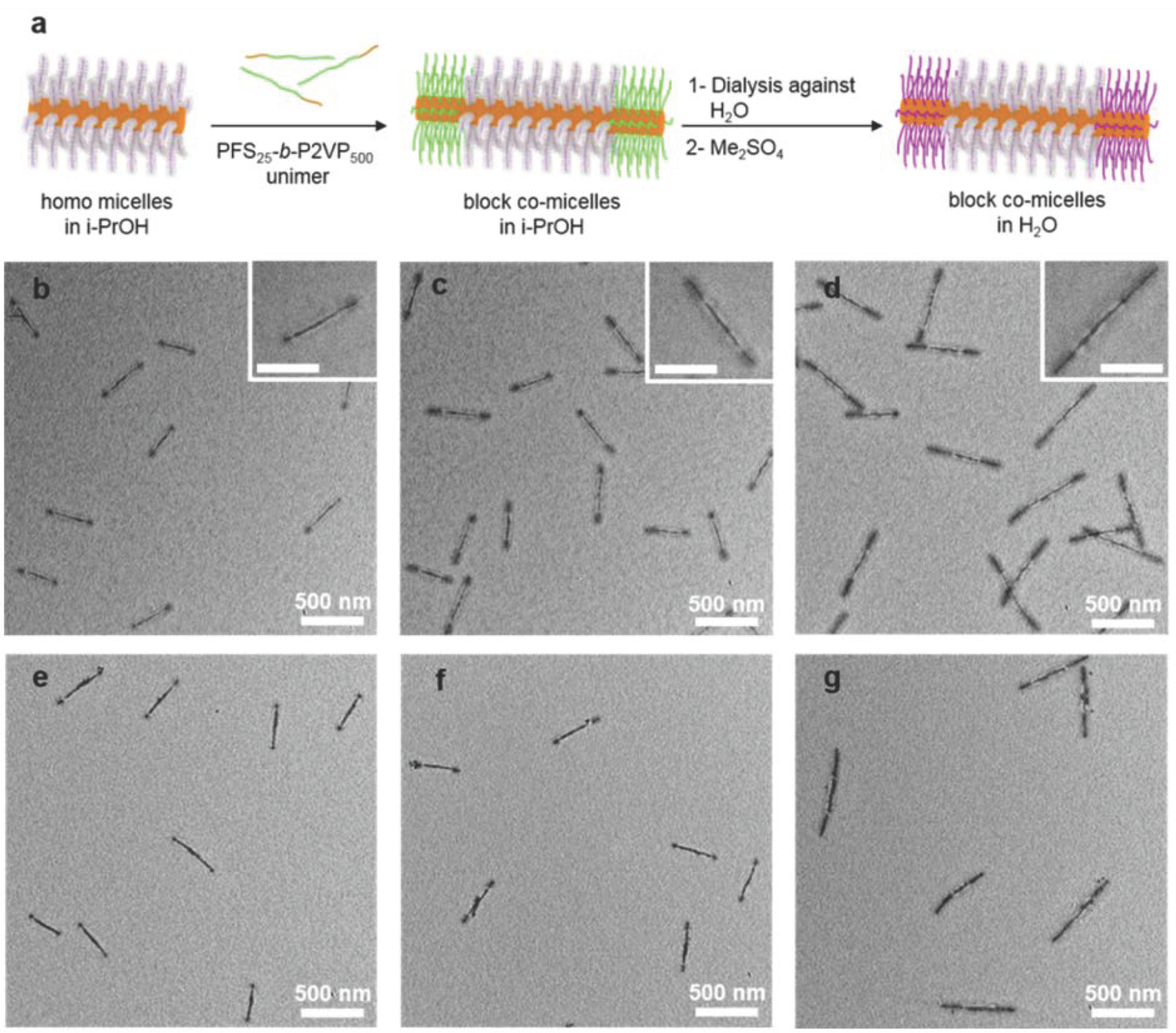 Polymers 14 02510 g007