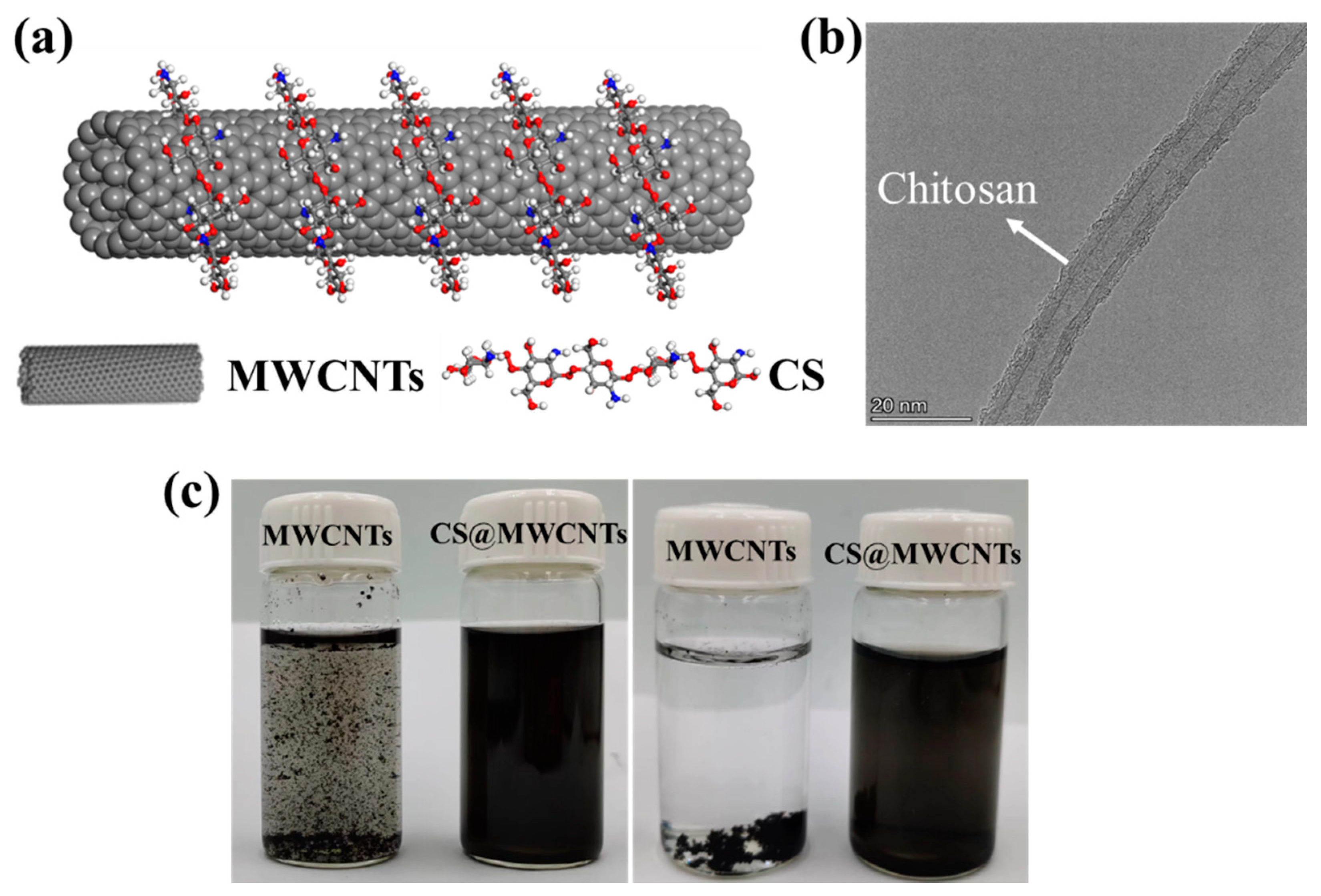 Polymers 14 02512 g003 550