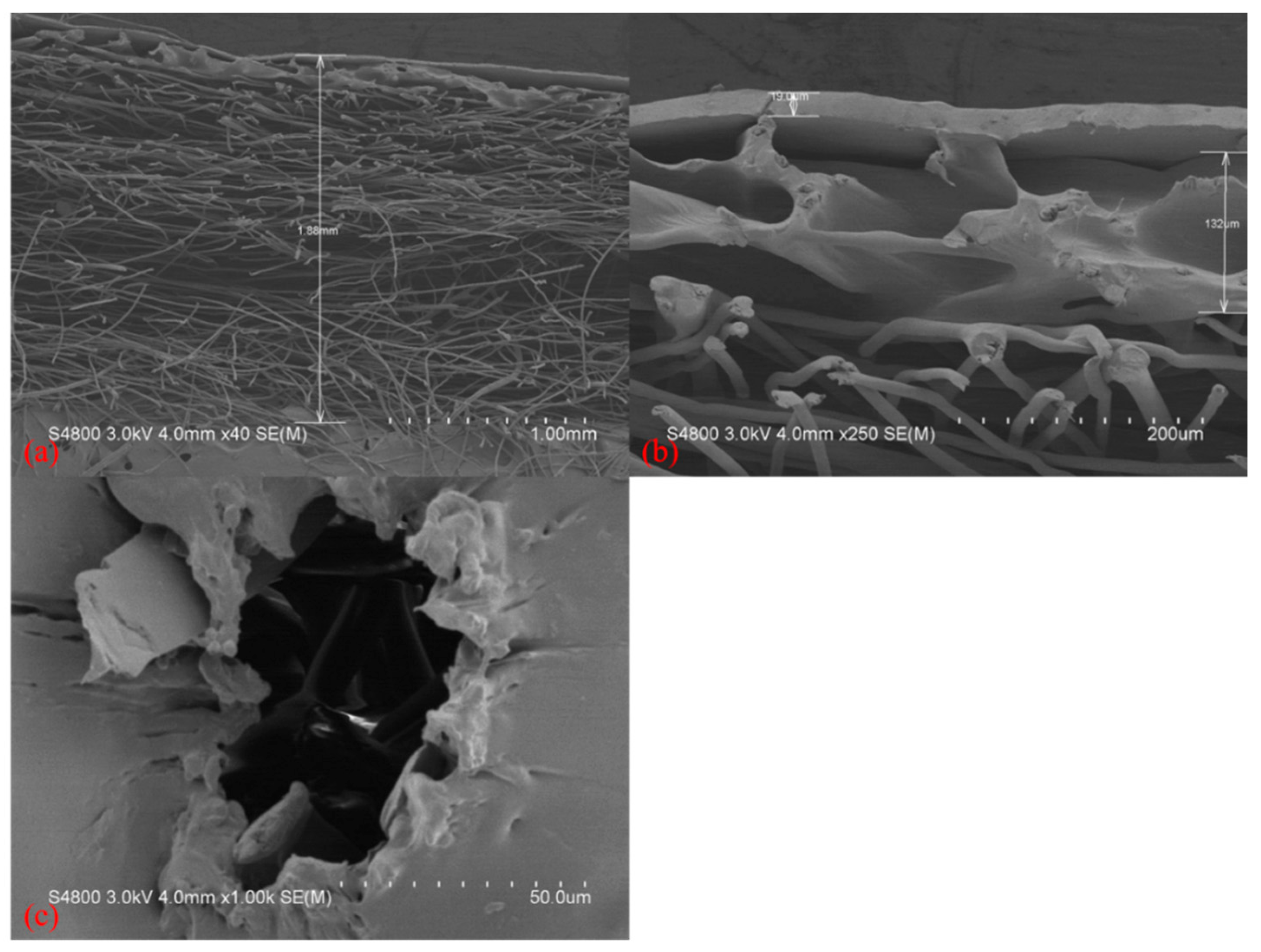 Polymers 14 02514 g007 550