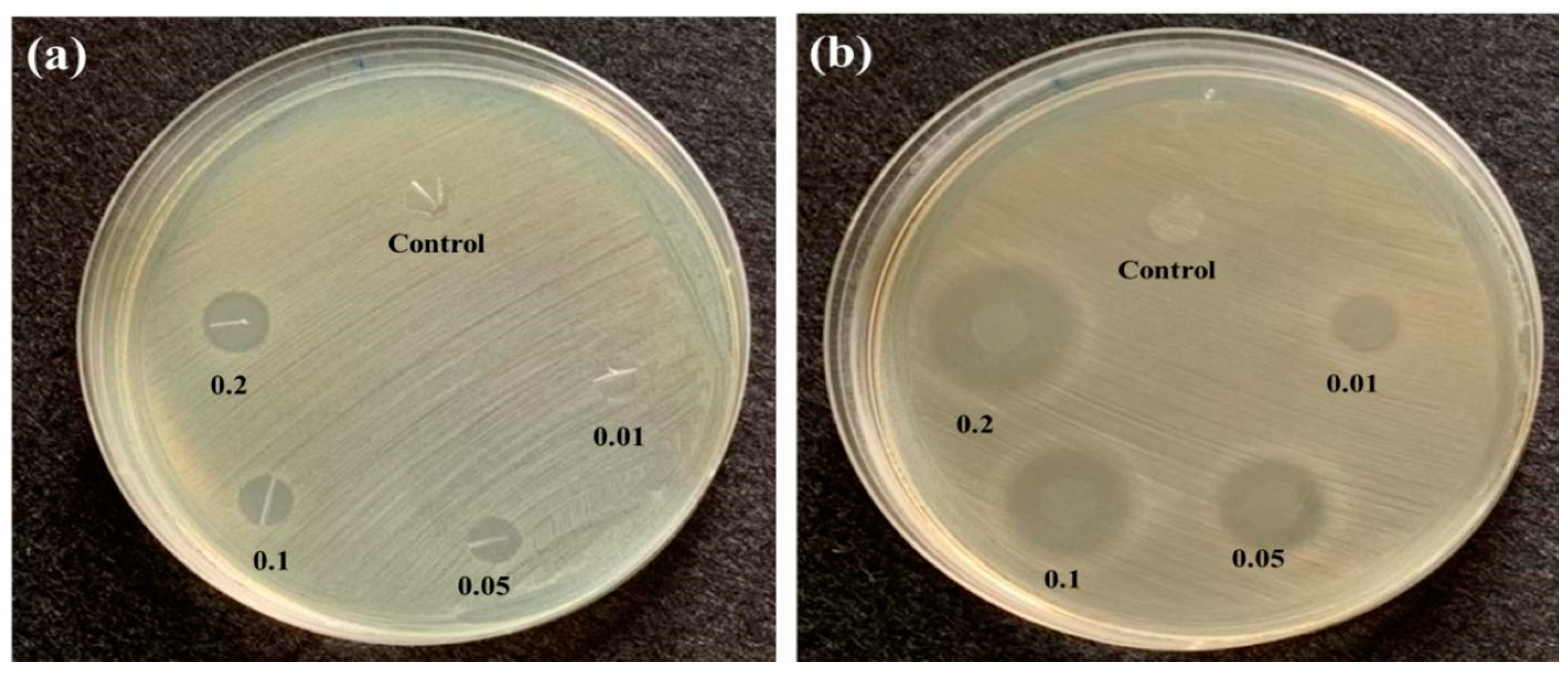 Polymers 14 02514 g008 550