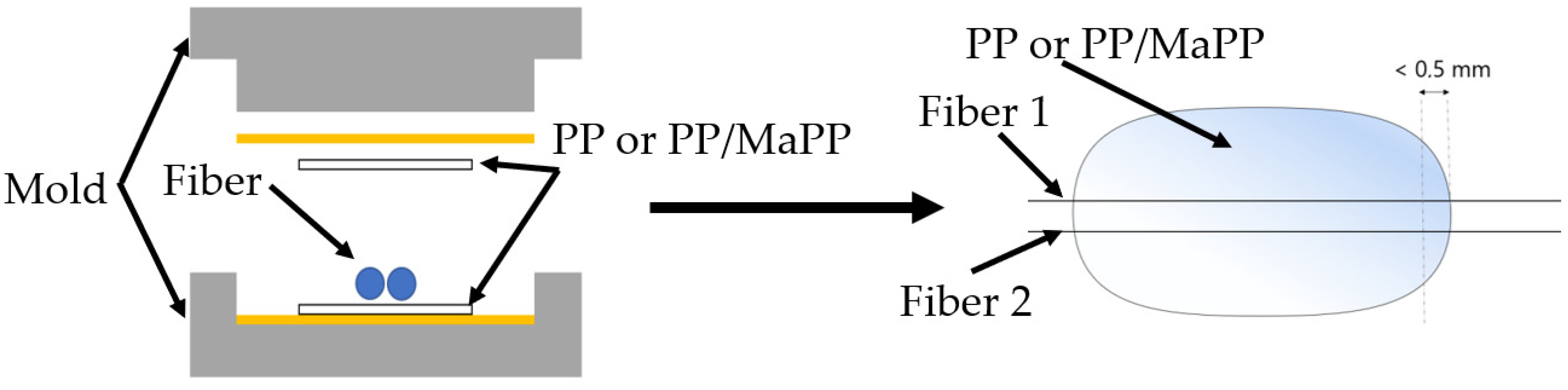 Polymers 14 02517 g002