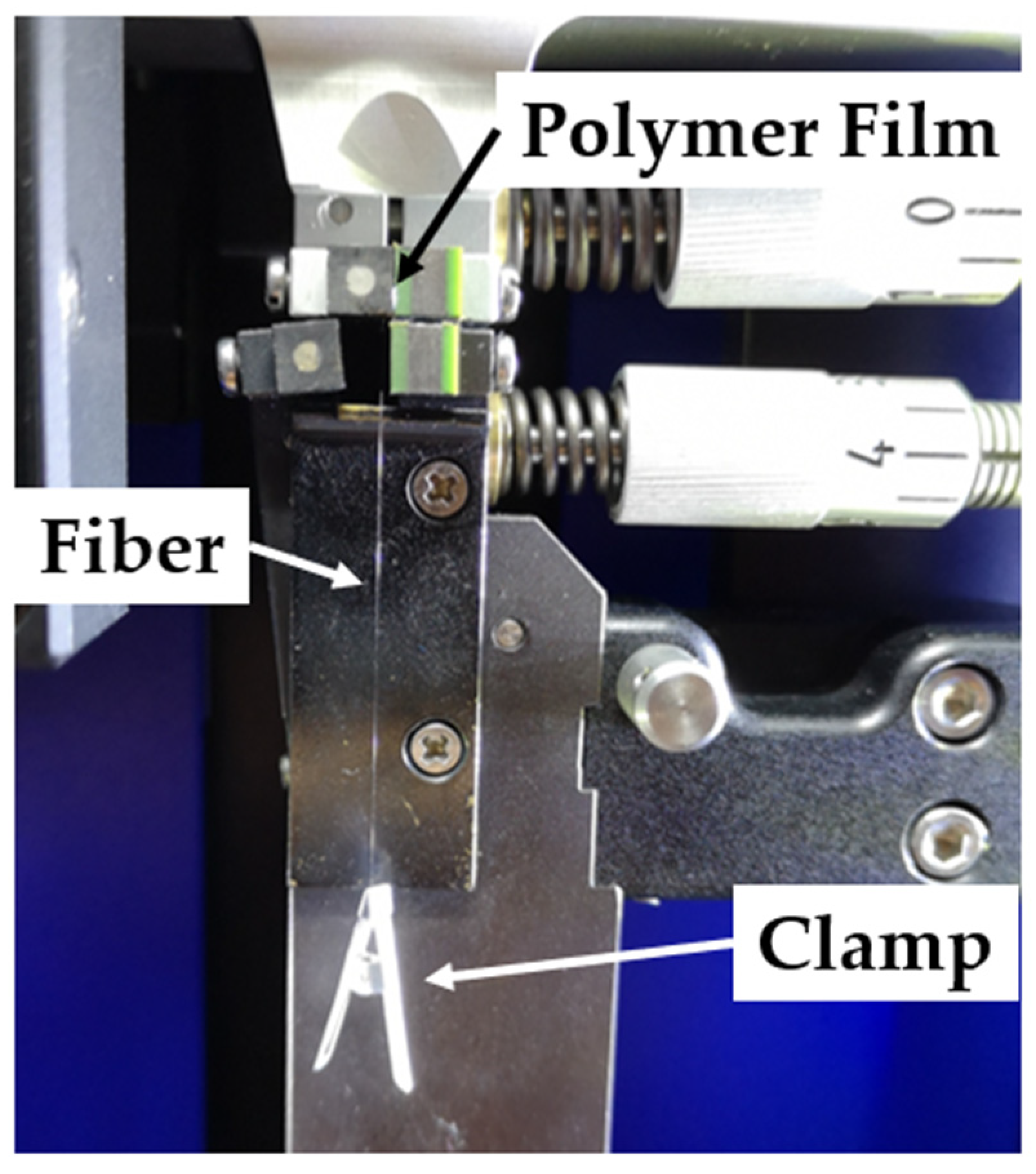Polymers 14 02517 g004