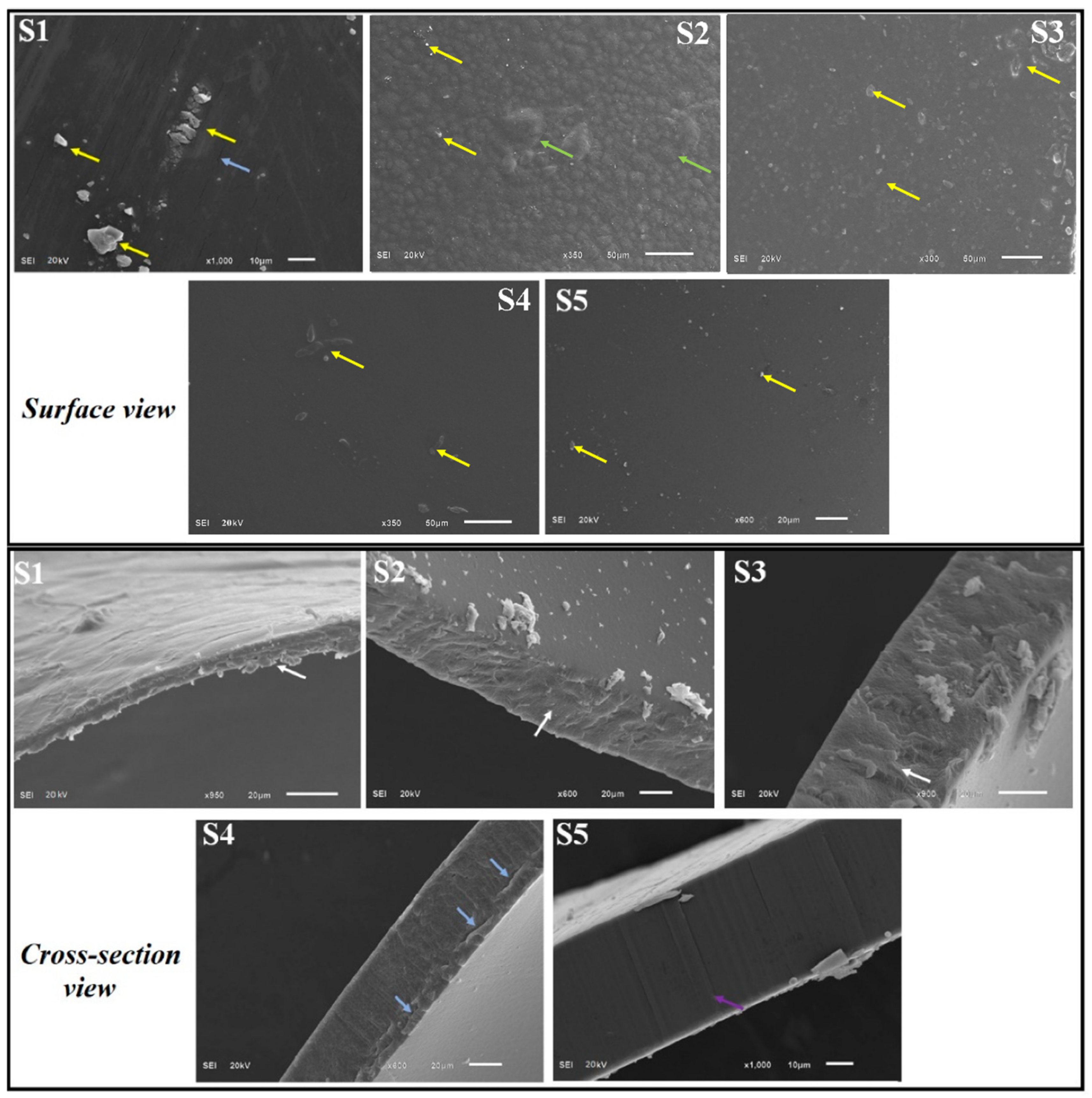 Polymers 14 02518 g005 550