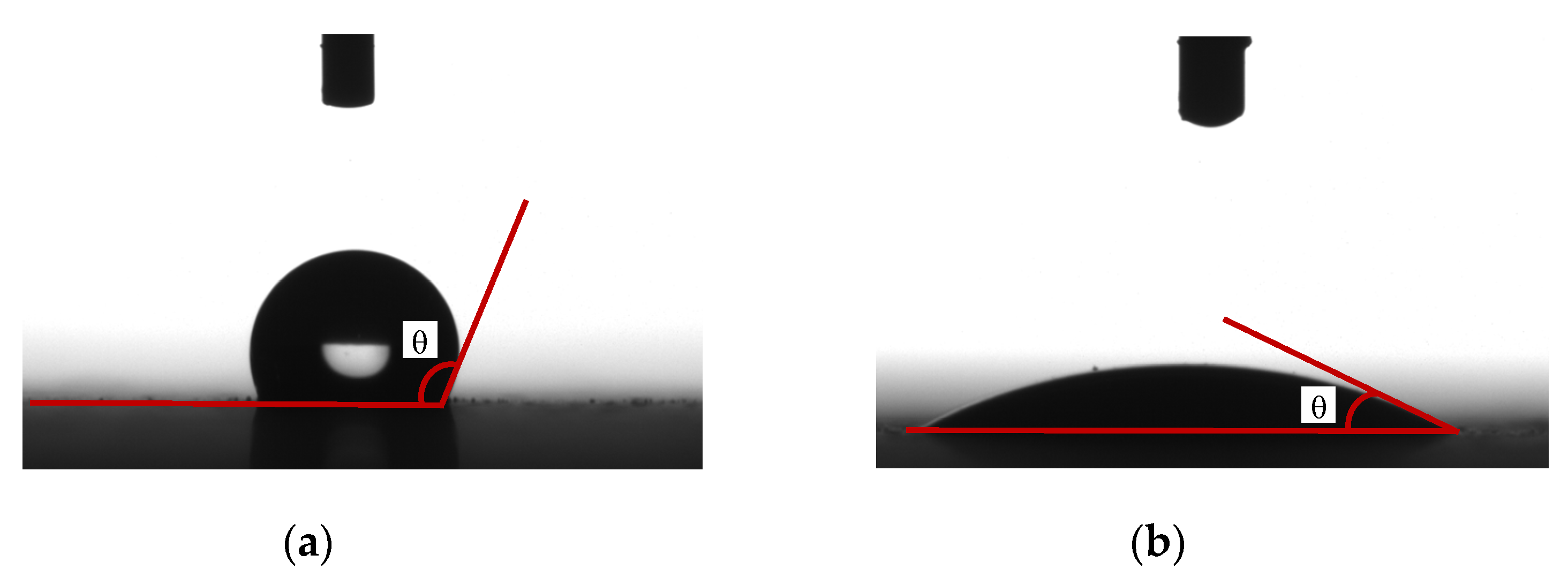 Polymers 14 02519 g002 550