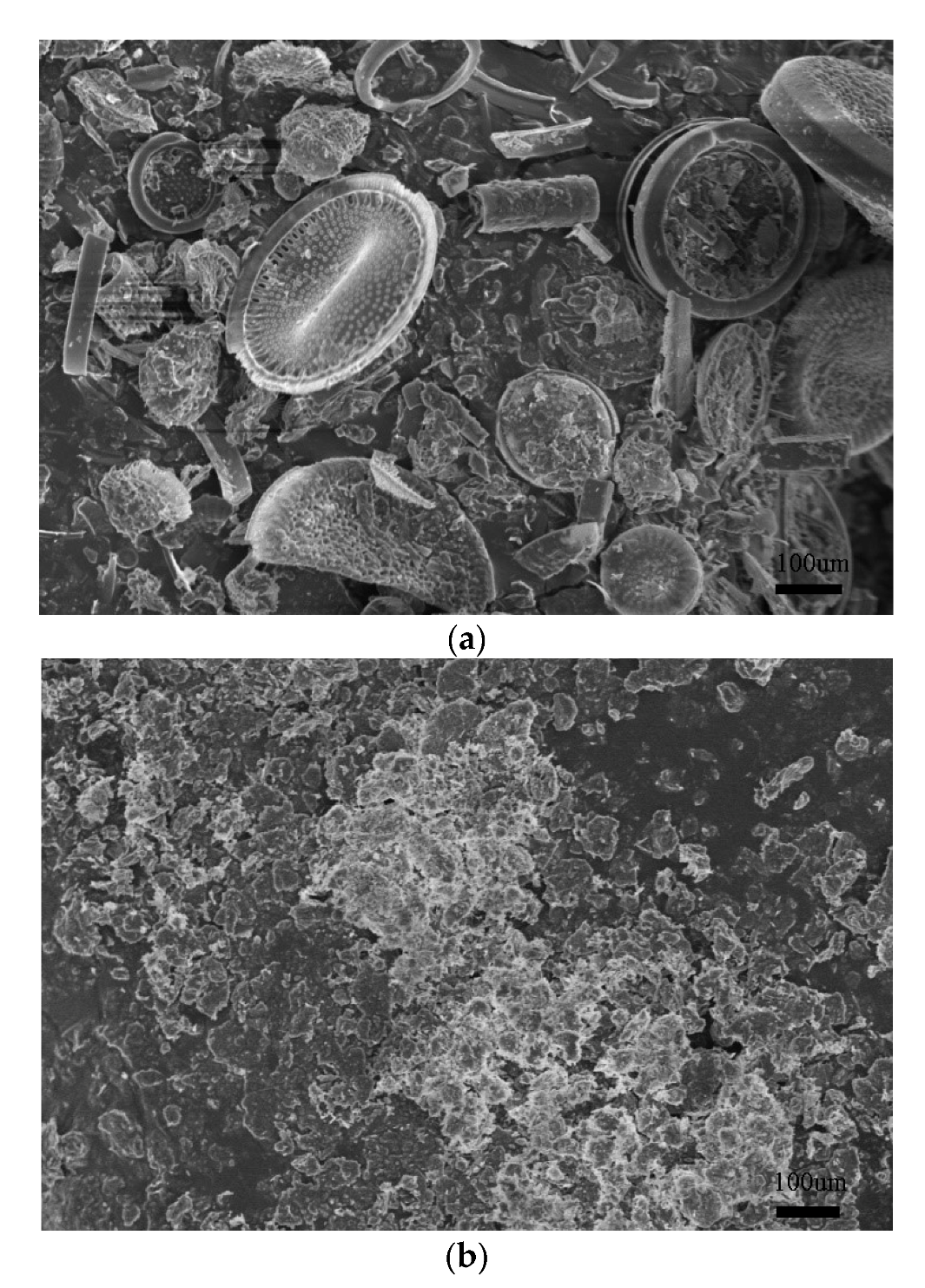 Polymers 14 02519 g007 550