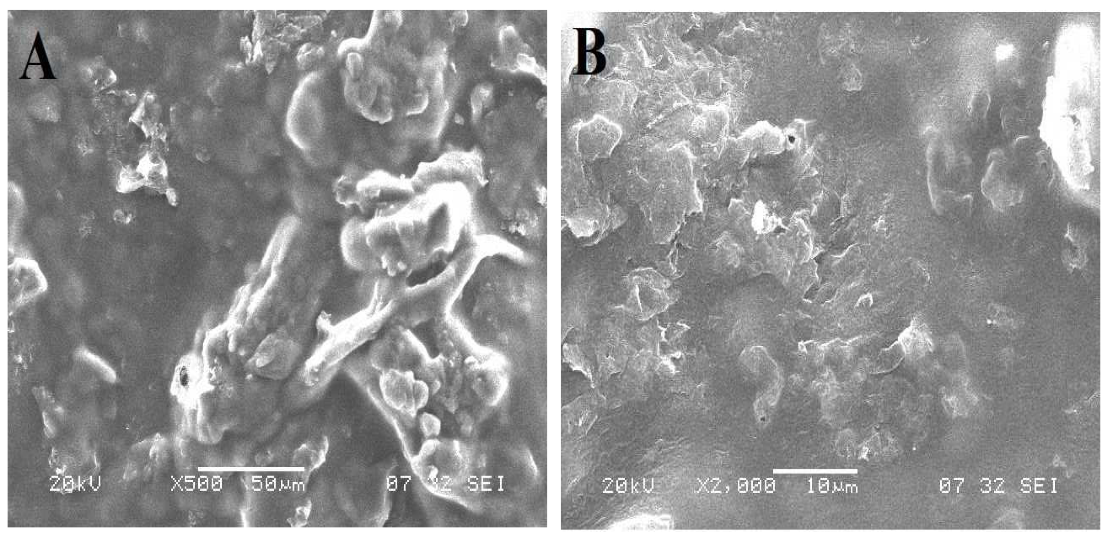 Polymers 14 02520 g002 Polymers 14 02520 g002