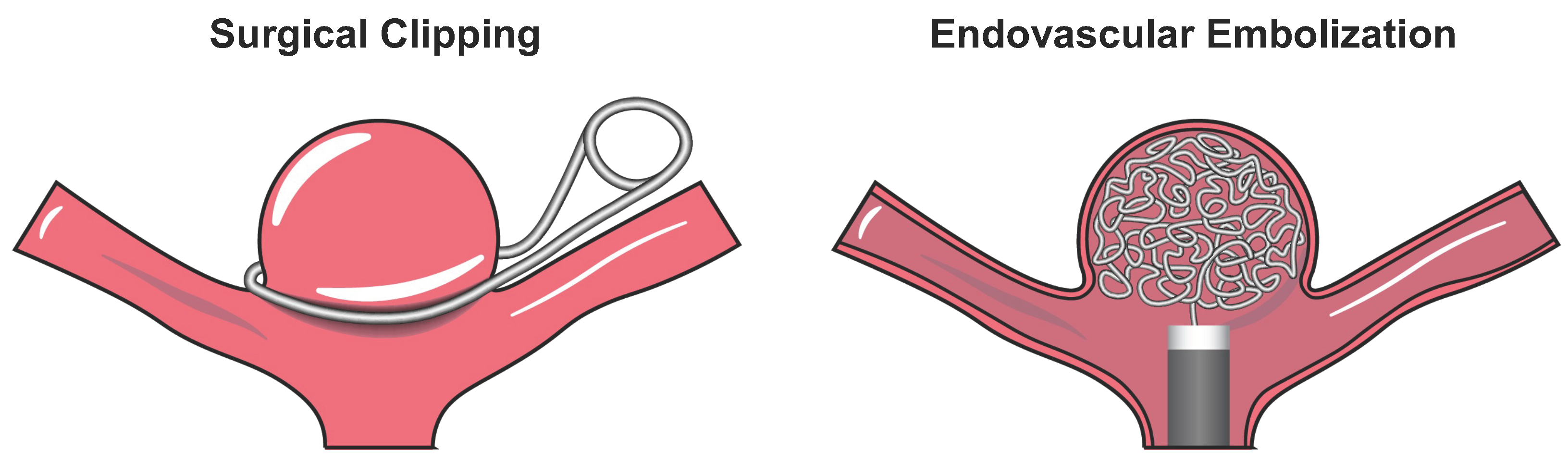 Polymers 14 02526 g001 550
