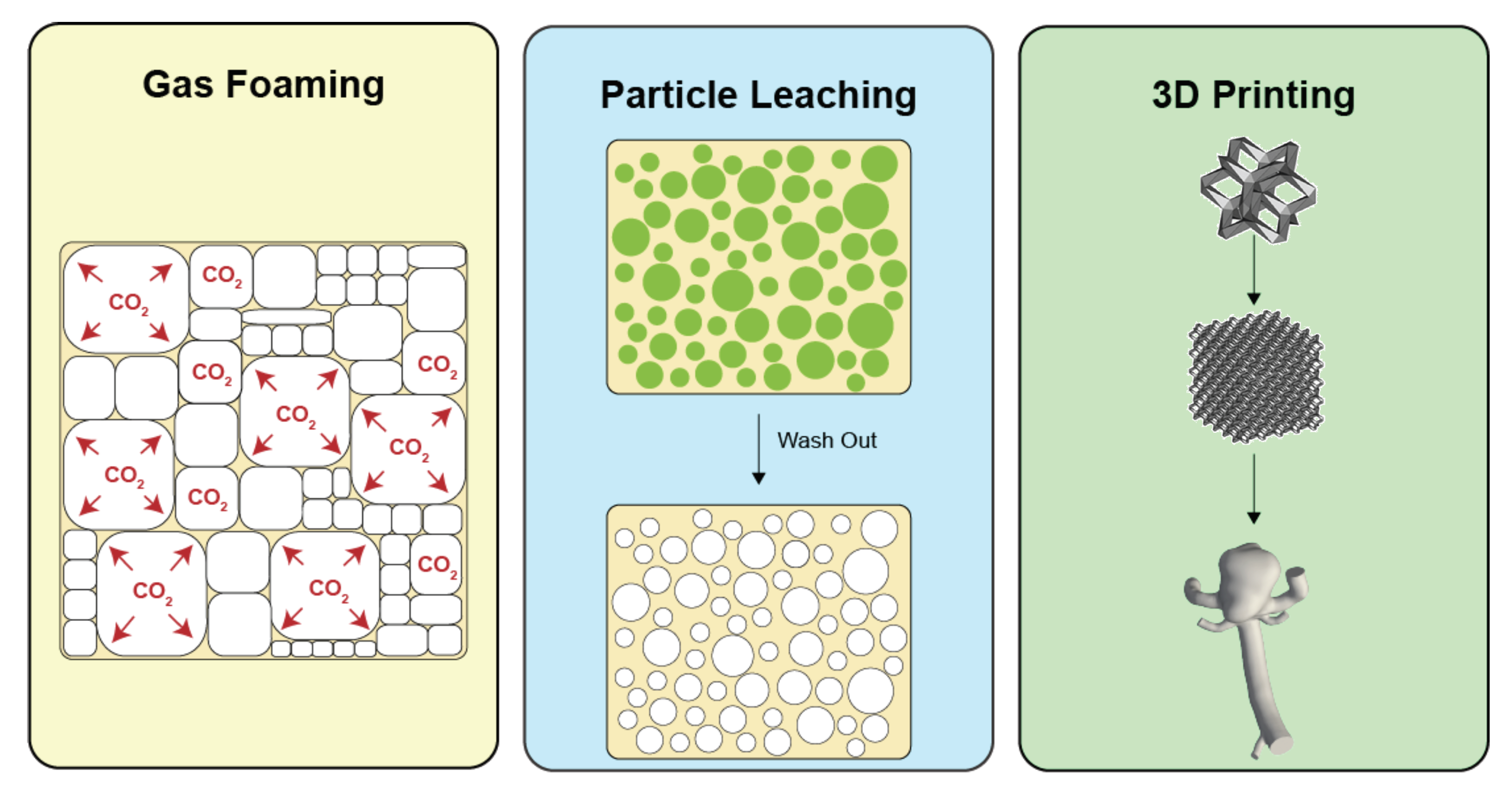Polymers 14 02526 g005 550