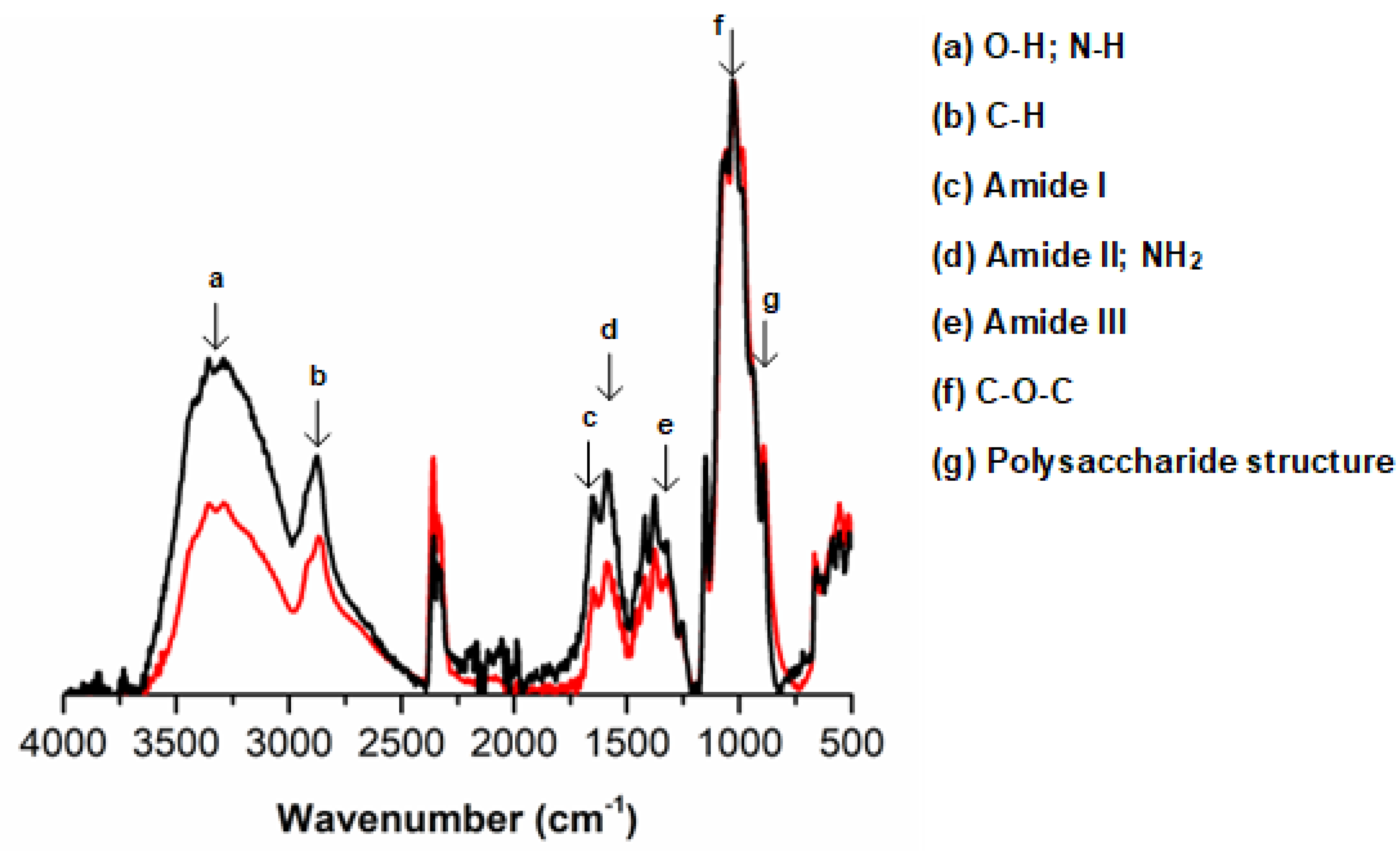 Polymers 14 02530 g003