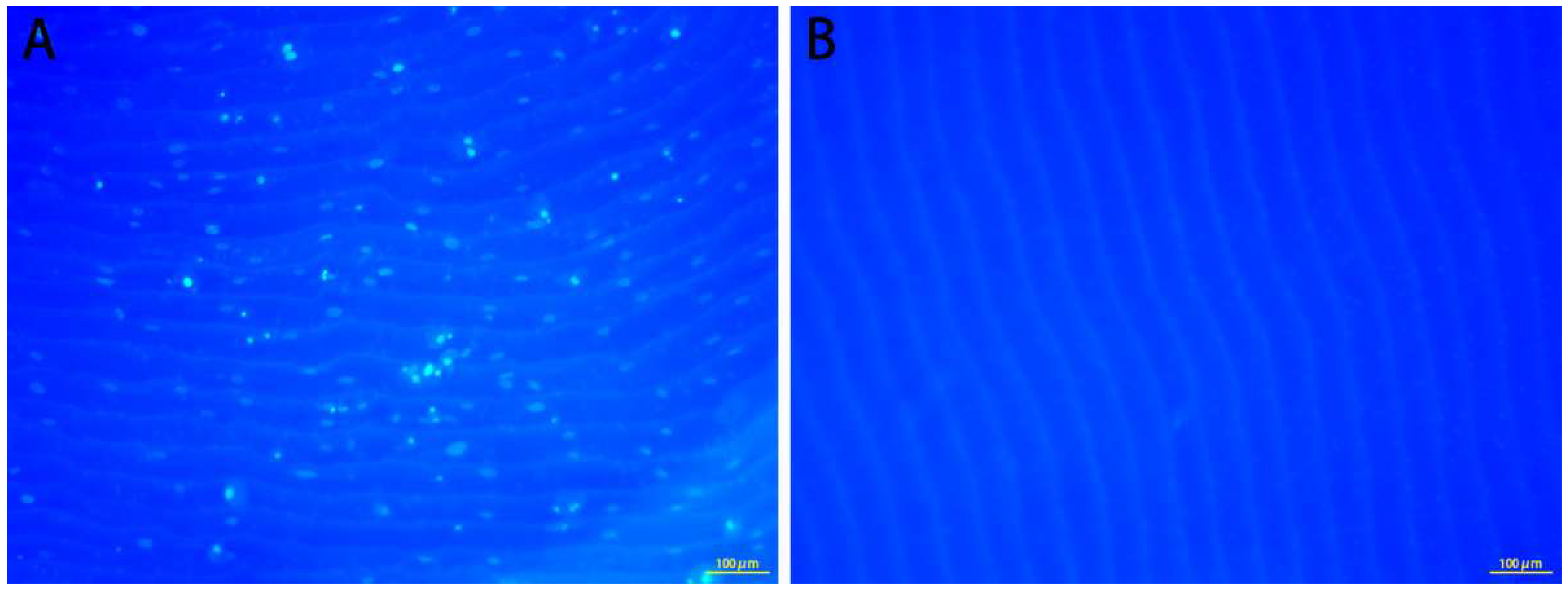 Polymers 14 02532 g001 550