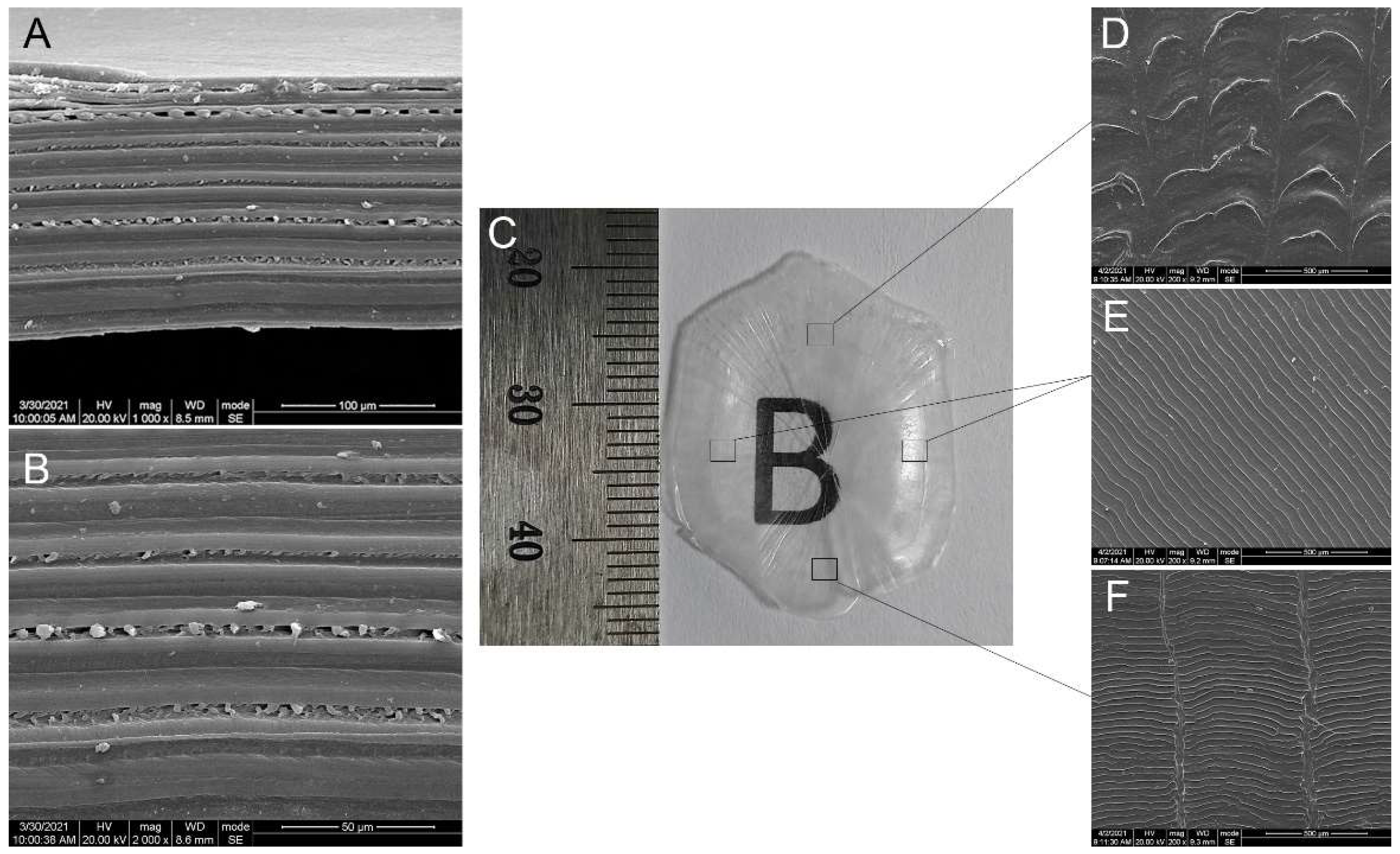 Polymers 14 02532 g002 550
