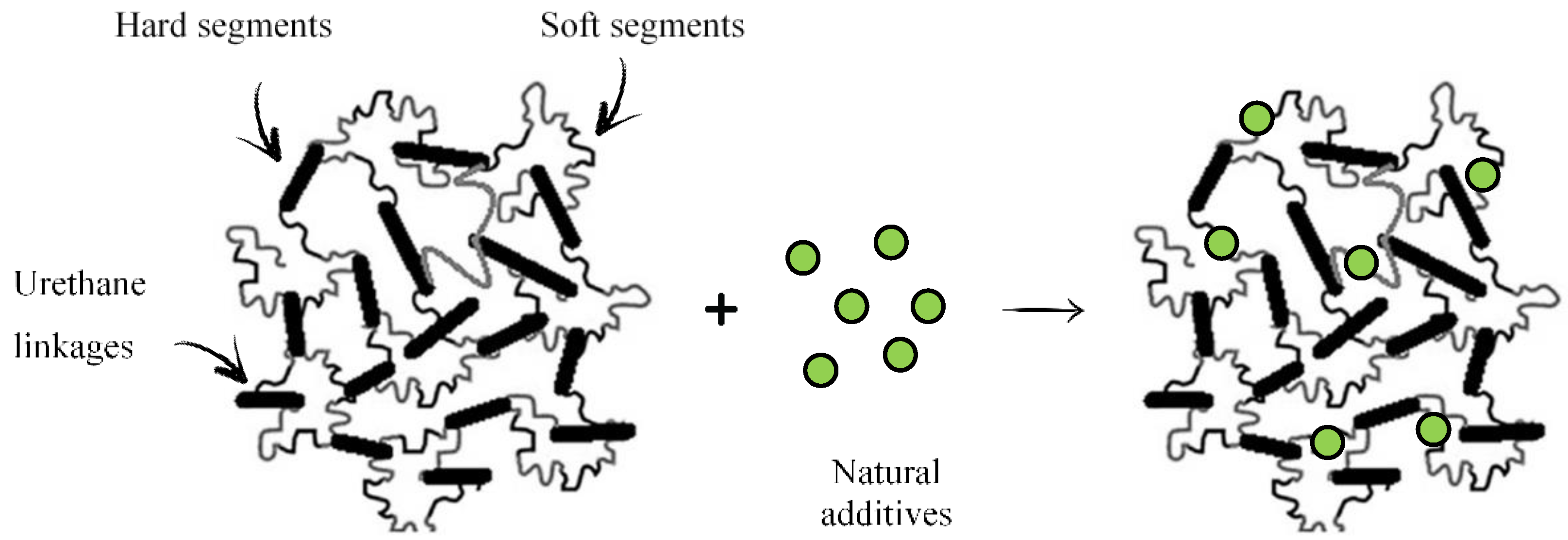 Polymers 14 02533 g001