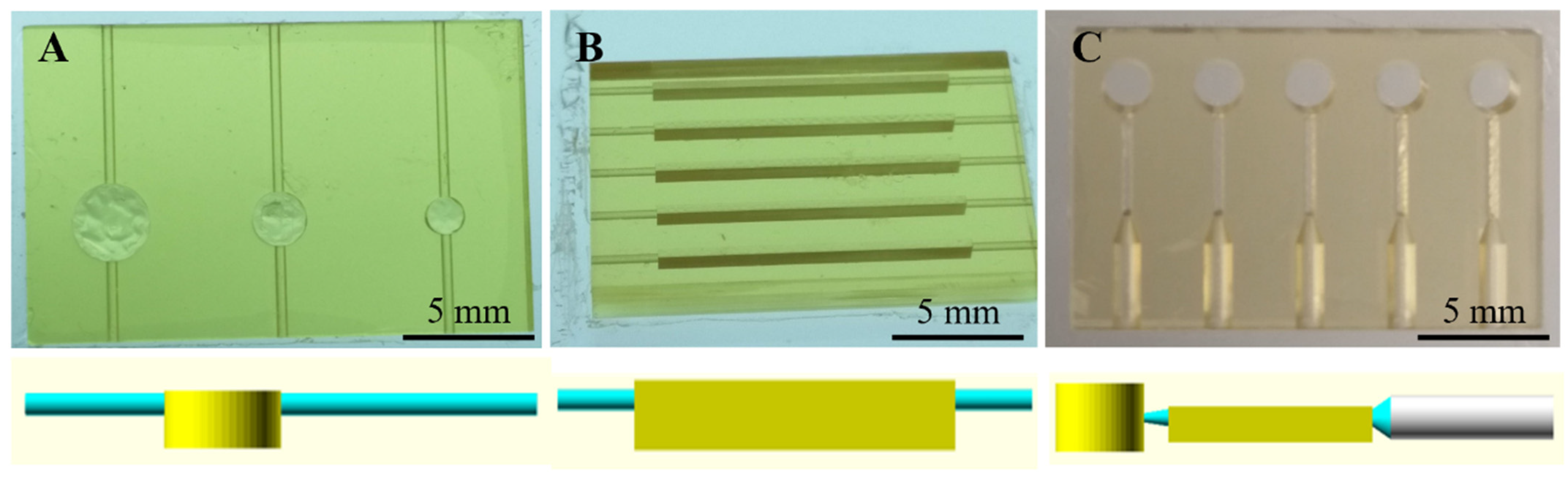 Polymers 14 02537 g002