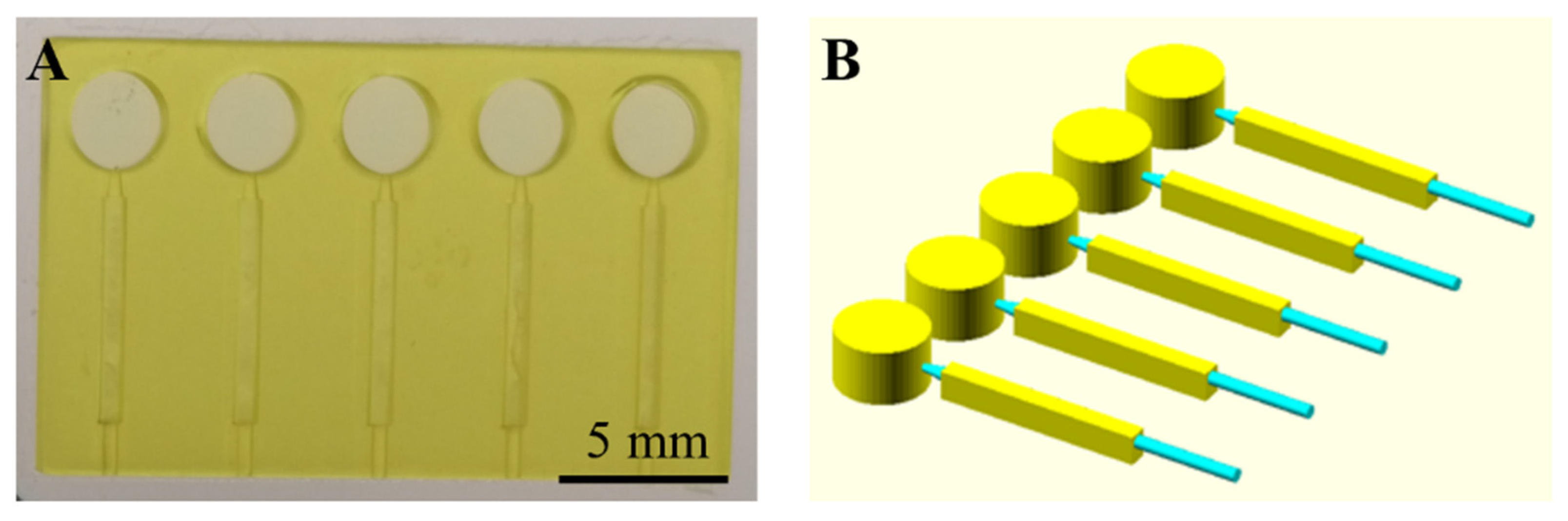 Polymers 14 02537 g003