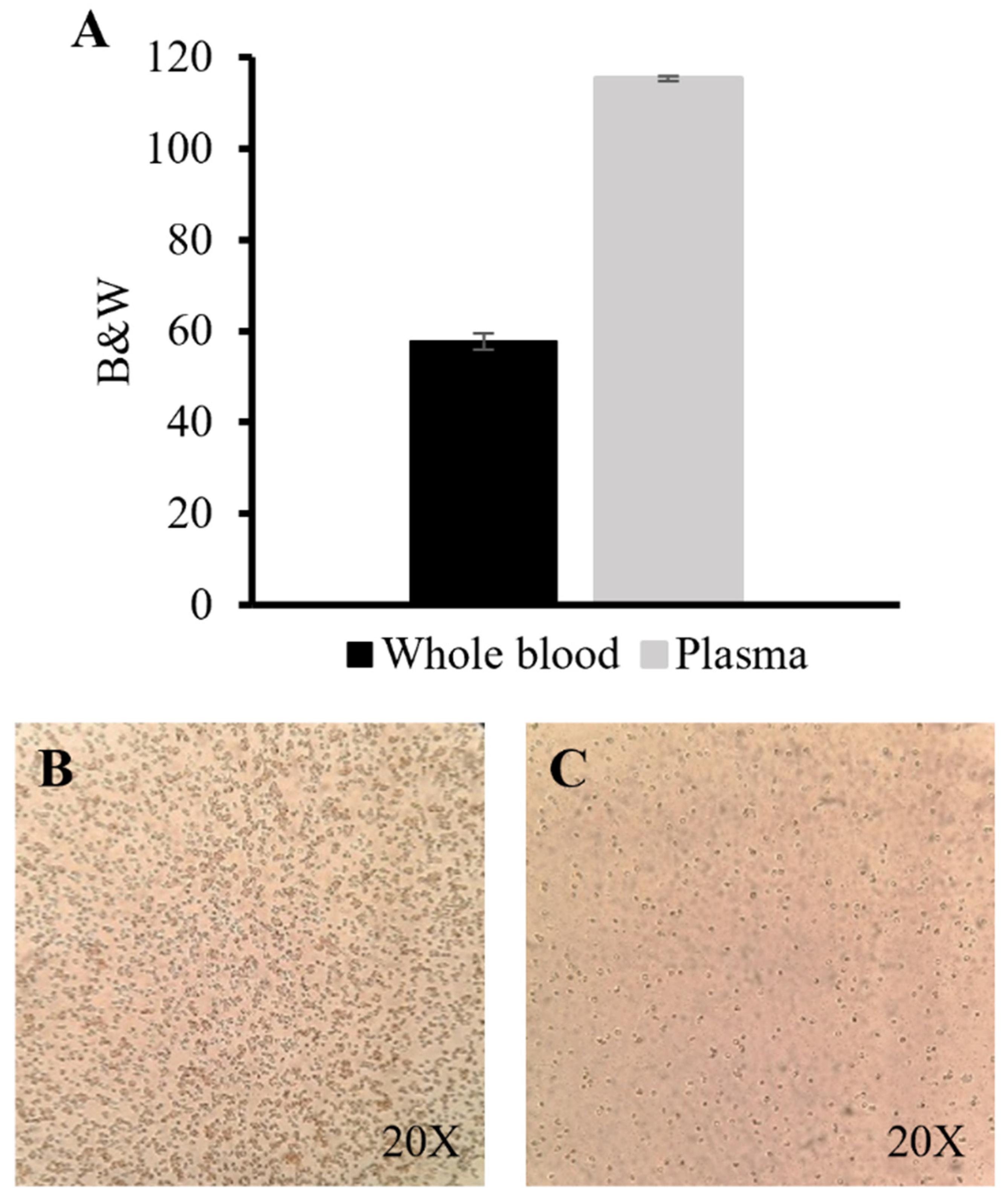 Polymers 14 02537 g006