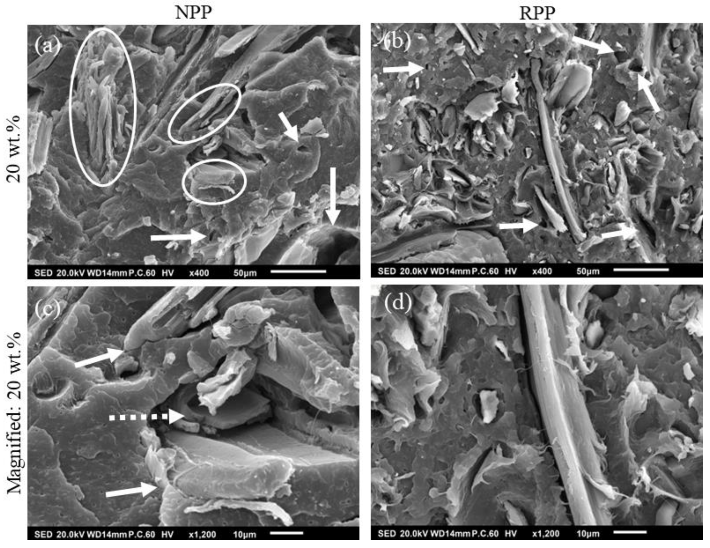 Polymers 14 02539 g004 550