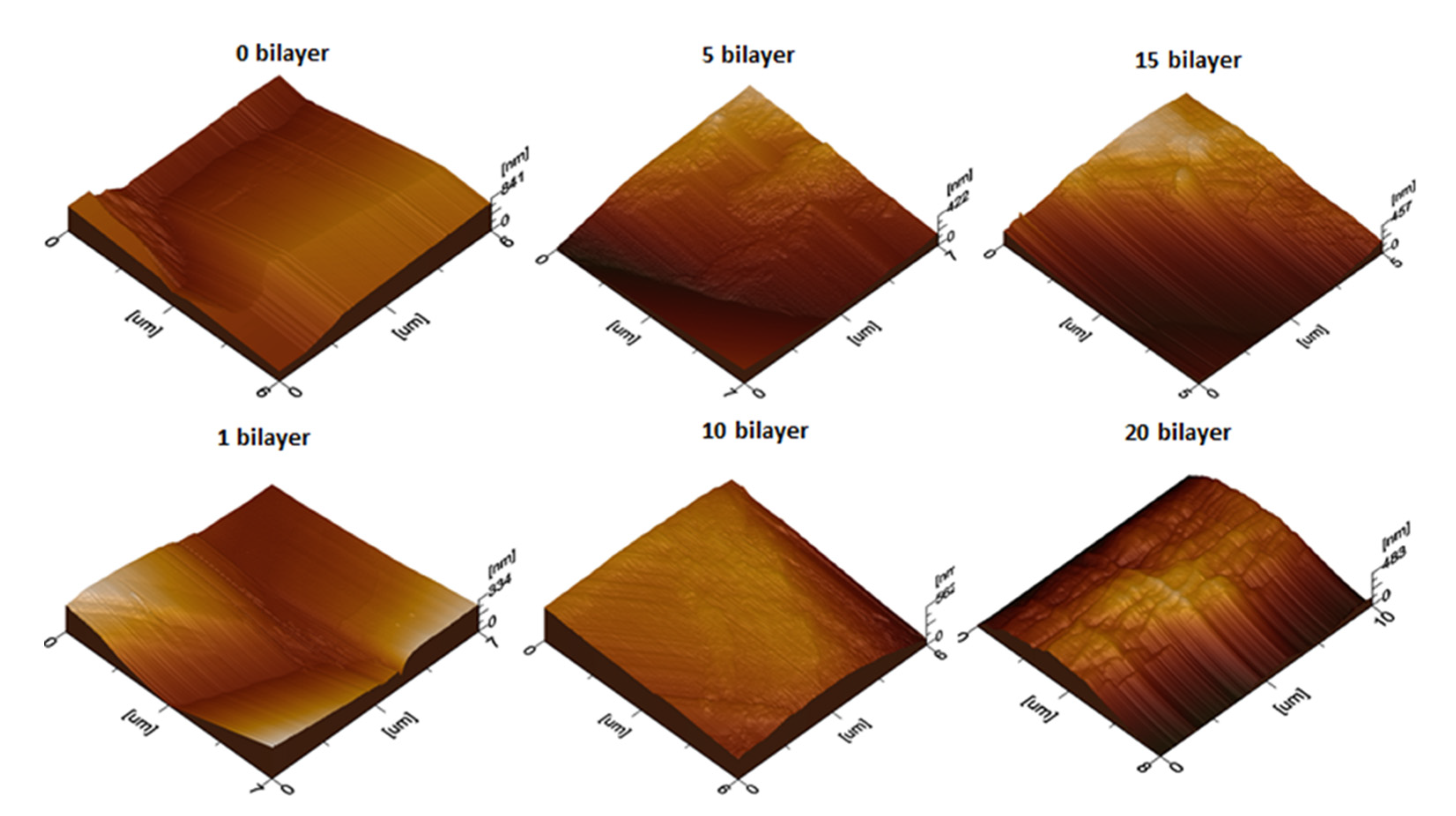 Polymers 14 02540 g006