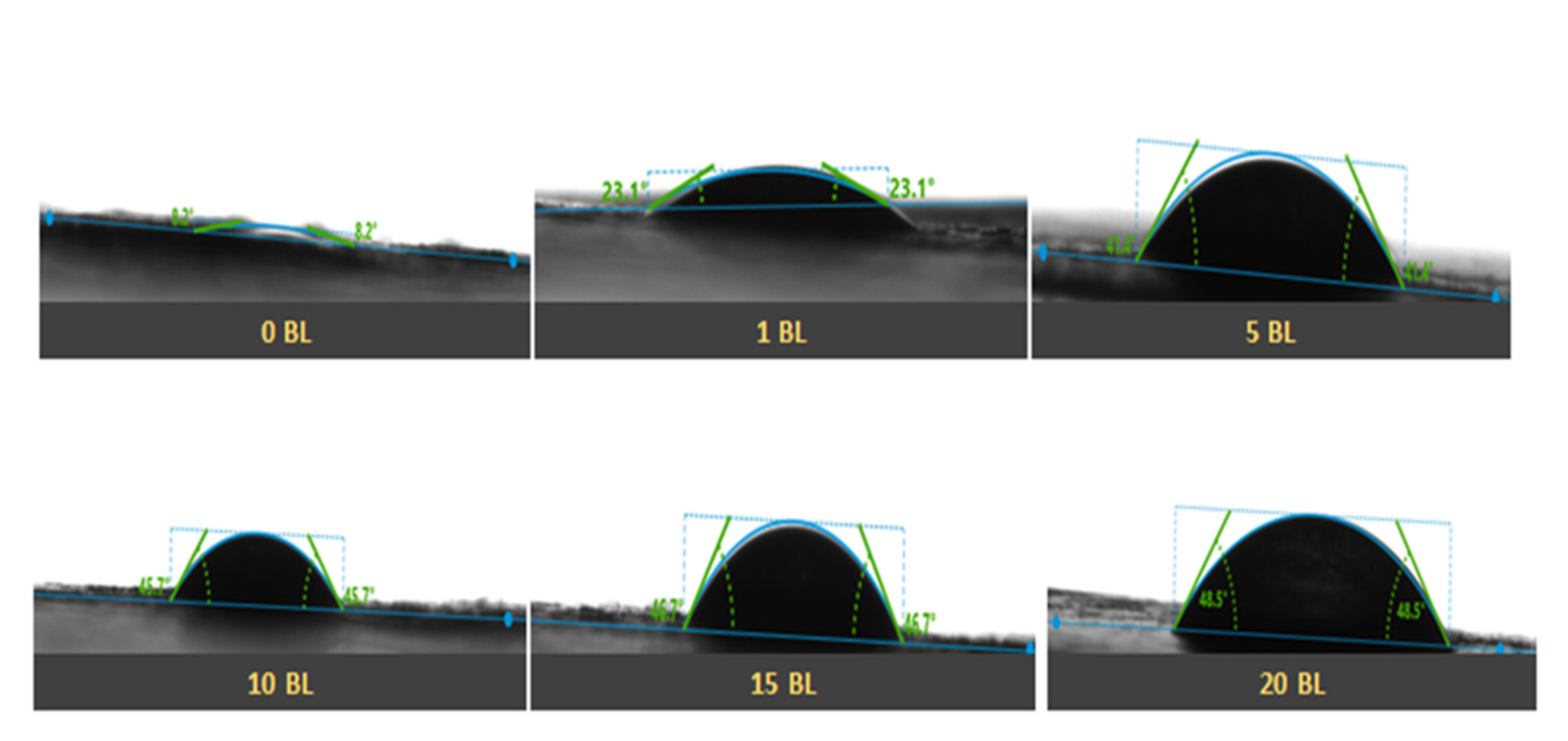 Polymers 14 02540 g008