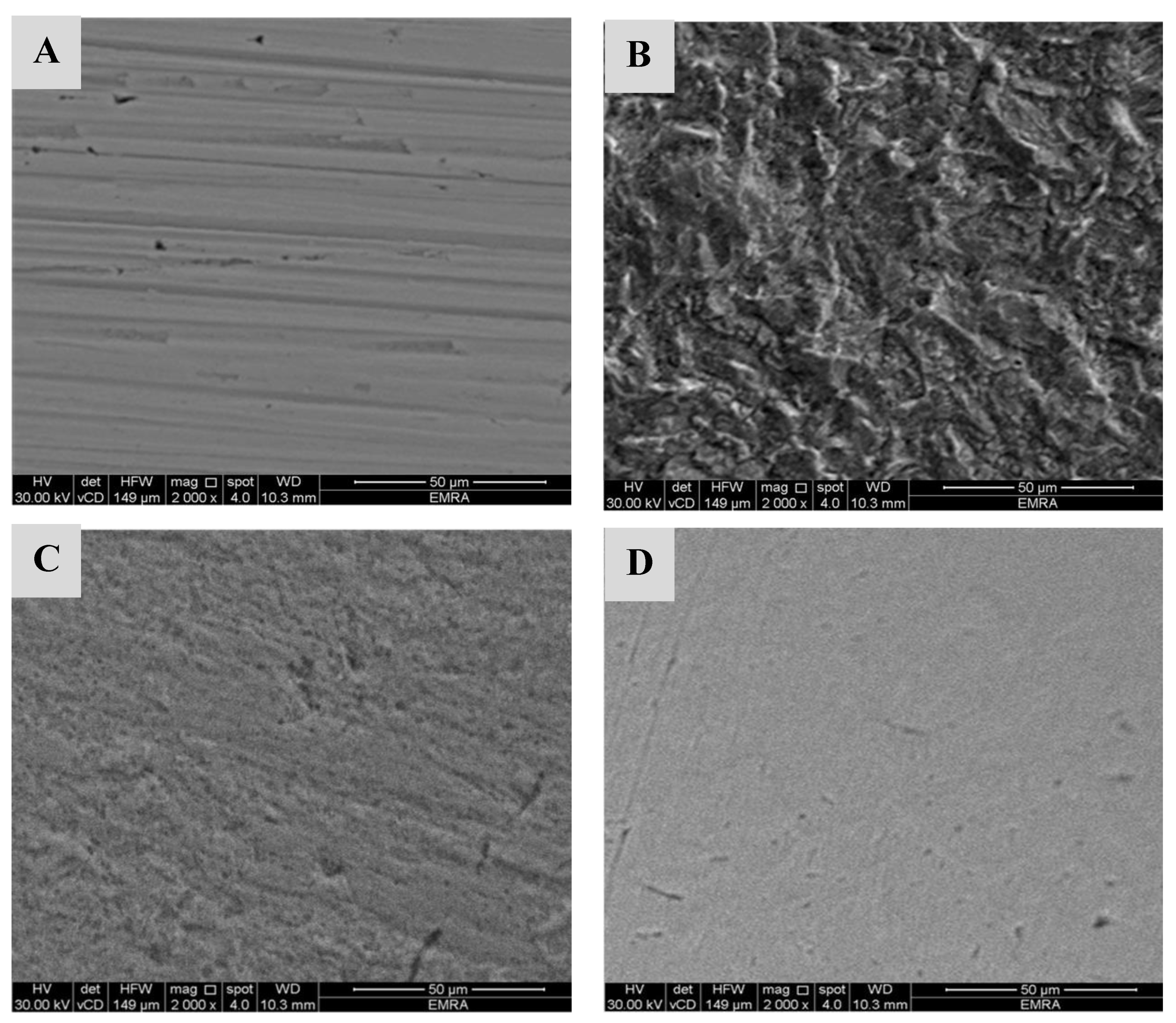 Polymers 14 02544 g011