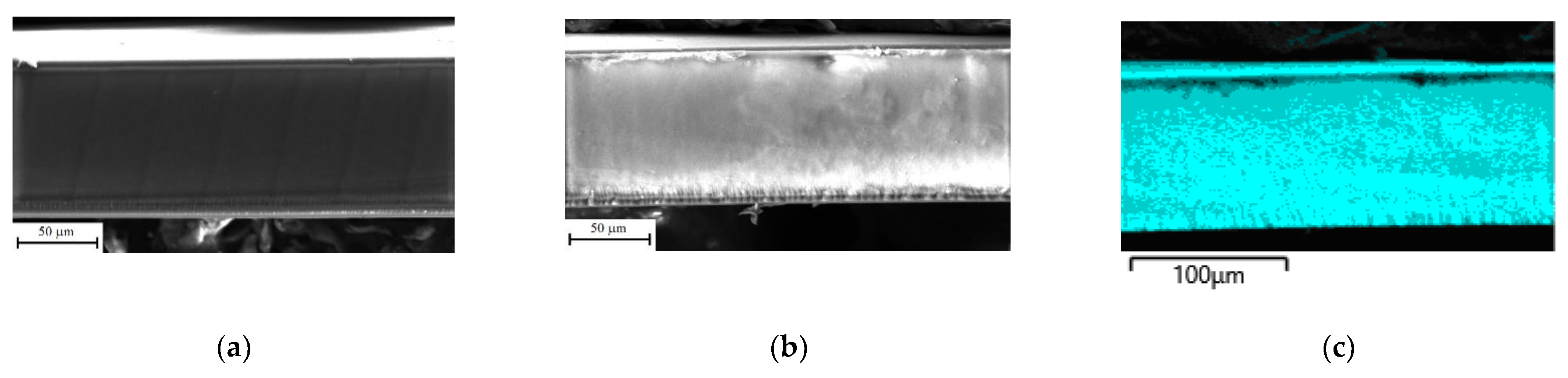 Polymers 14 02545 g002a Polymers 14 02545 g002a