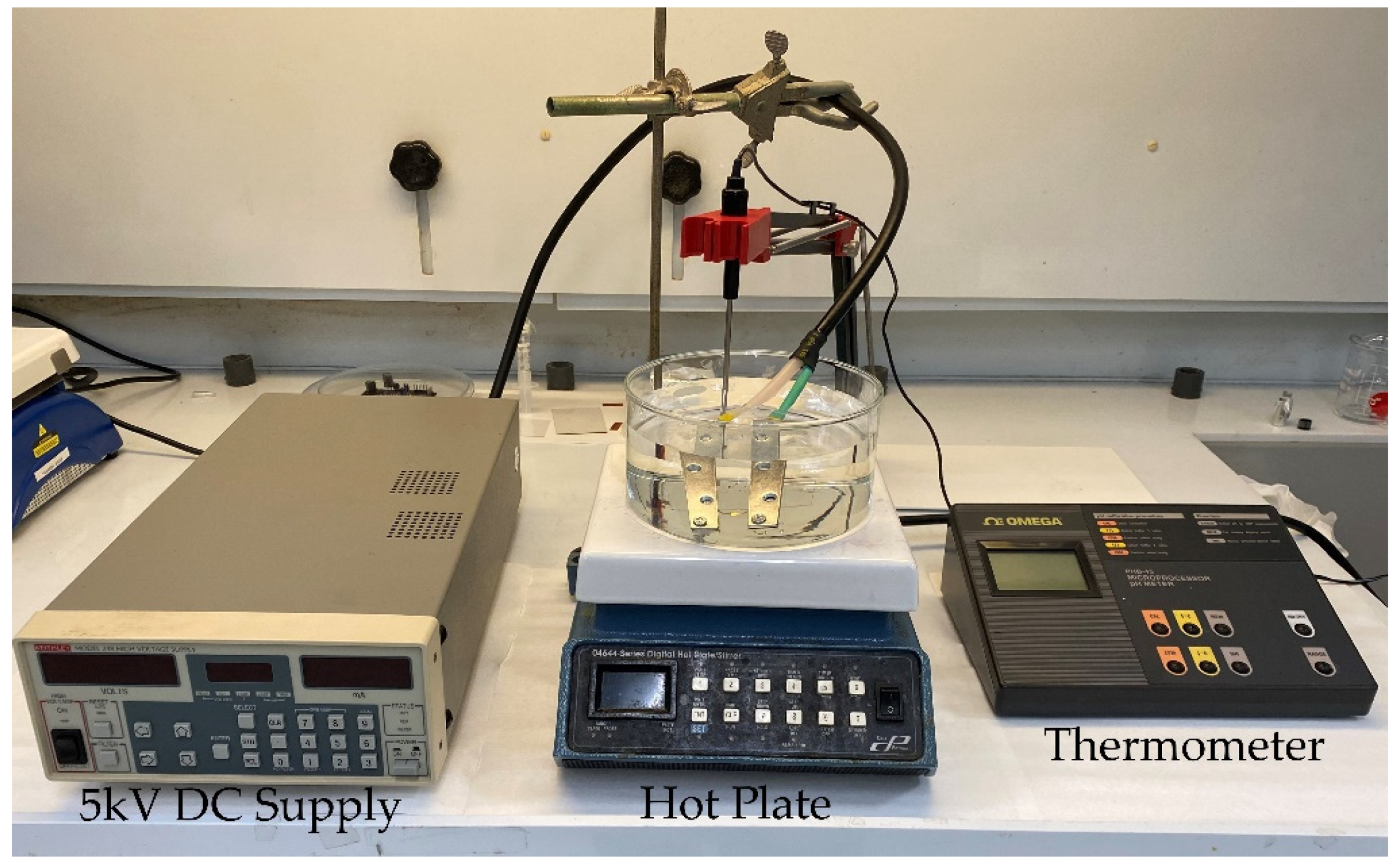 Polymers 14 02546 g001