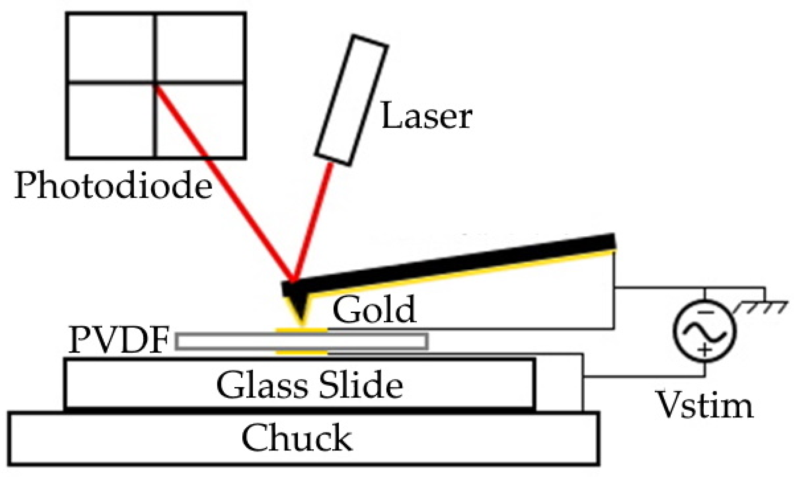 Polymers 14 02546 g002