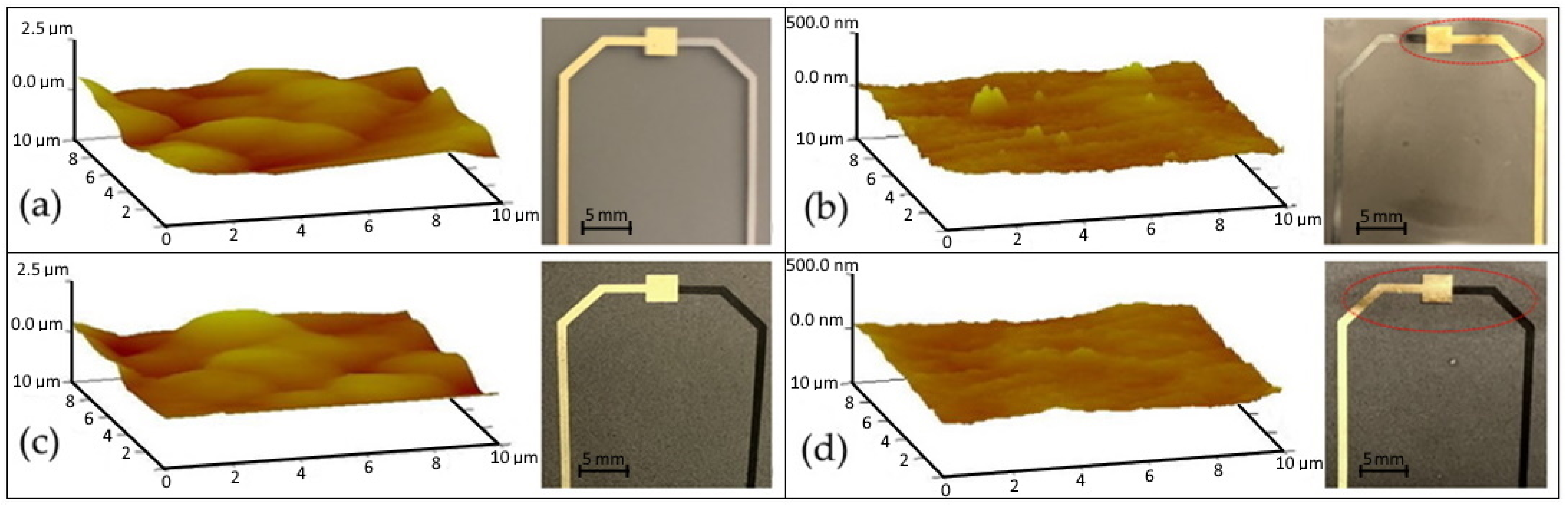 Polymers 14 02546 g004