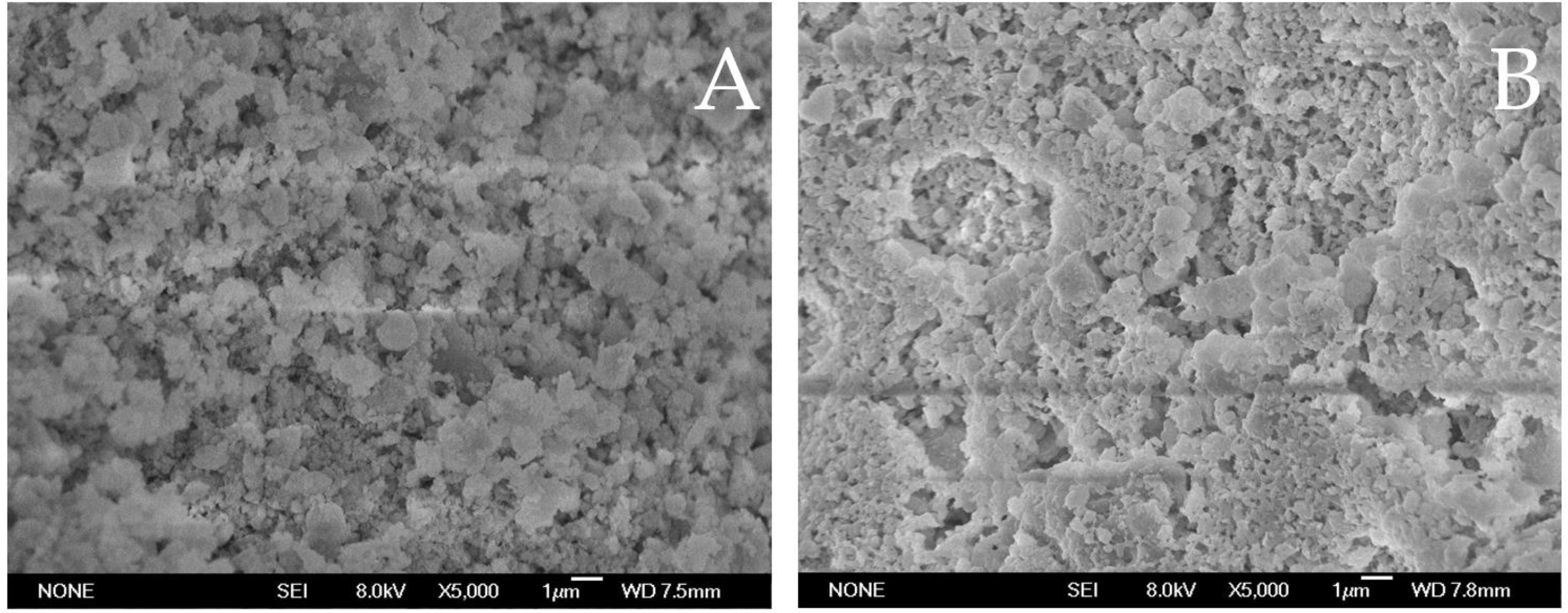 Polymers 14 02549 g006