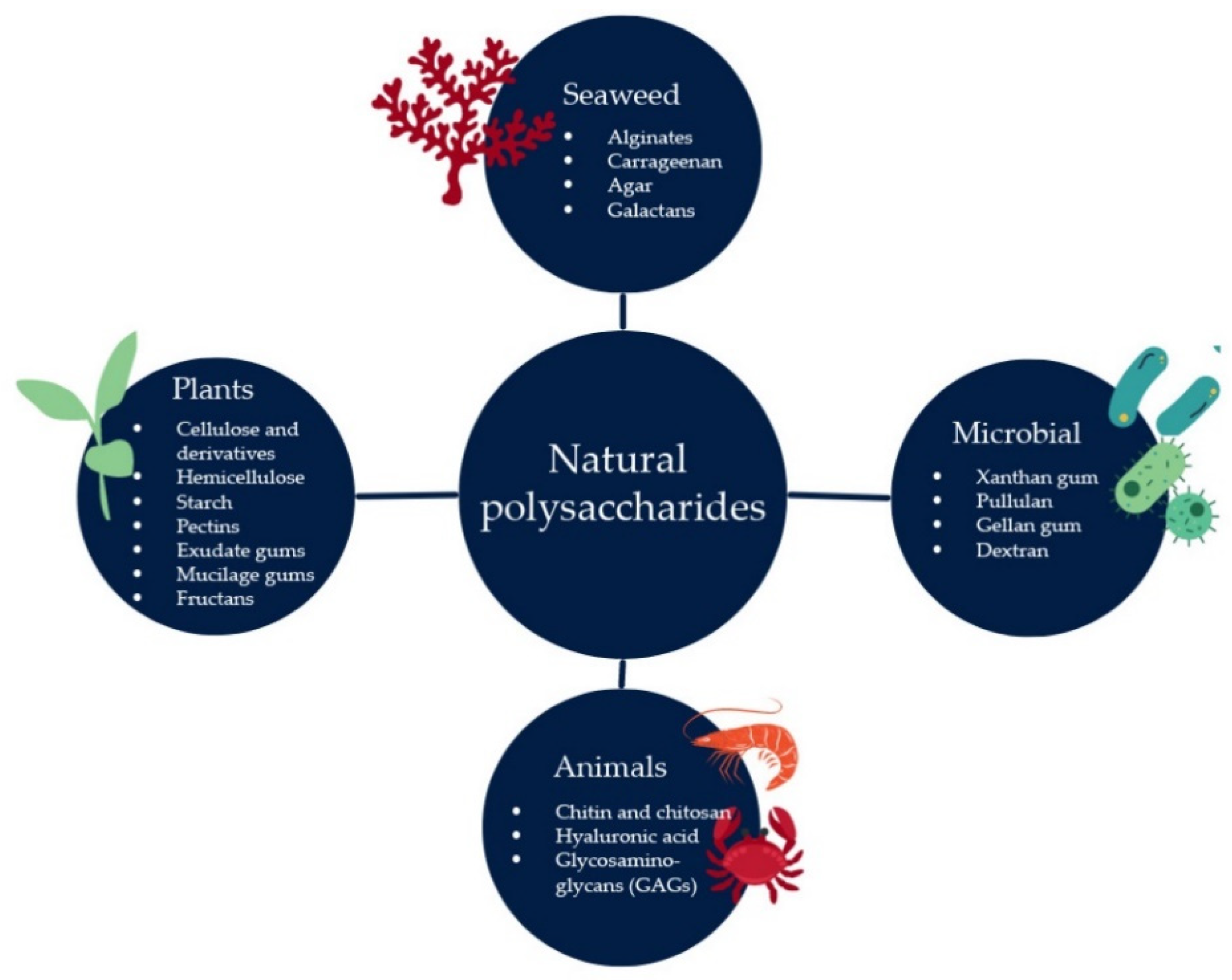 Polymers 14 02550 g002