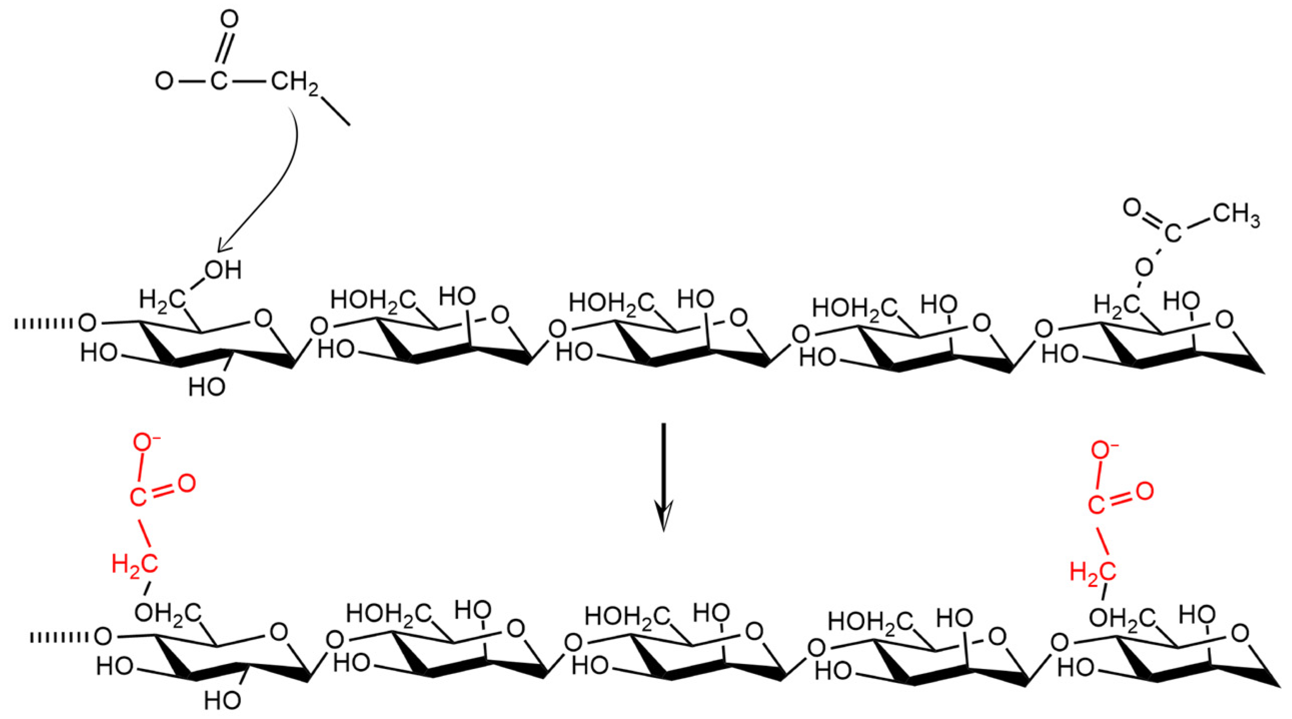 Polymers 14 02550 g006