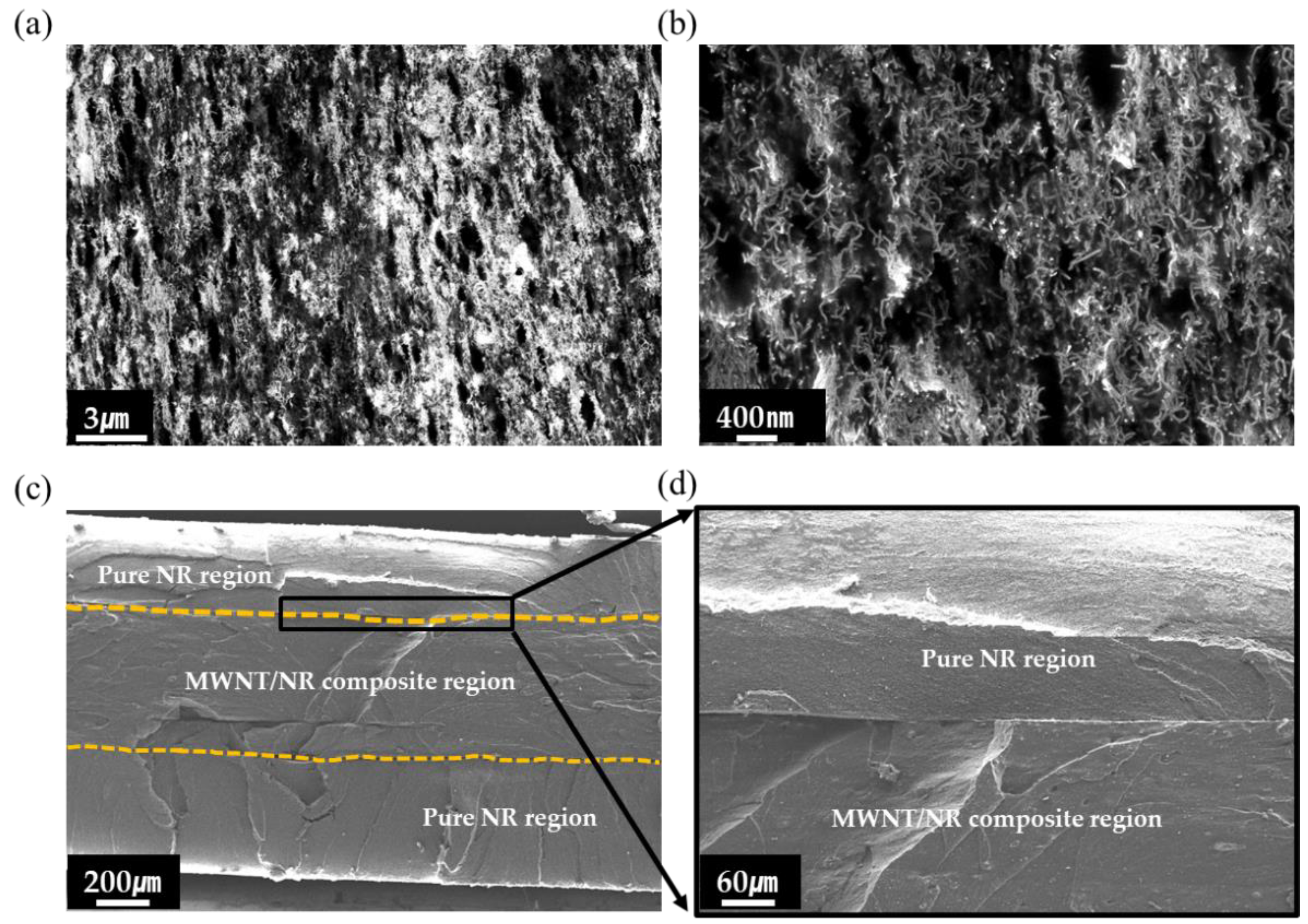 Polymers 14 02551 g002 550