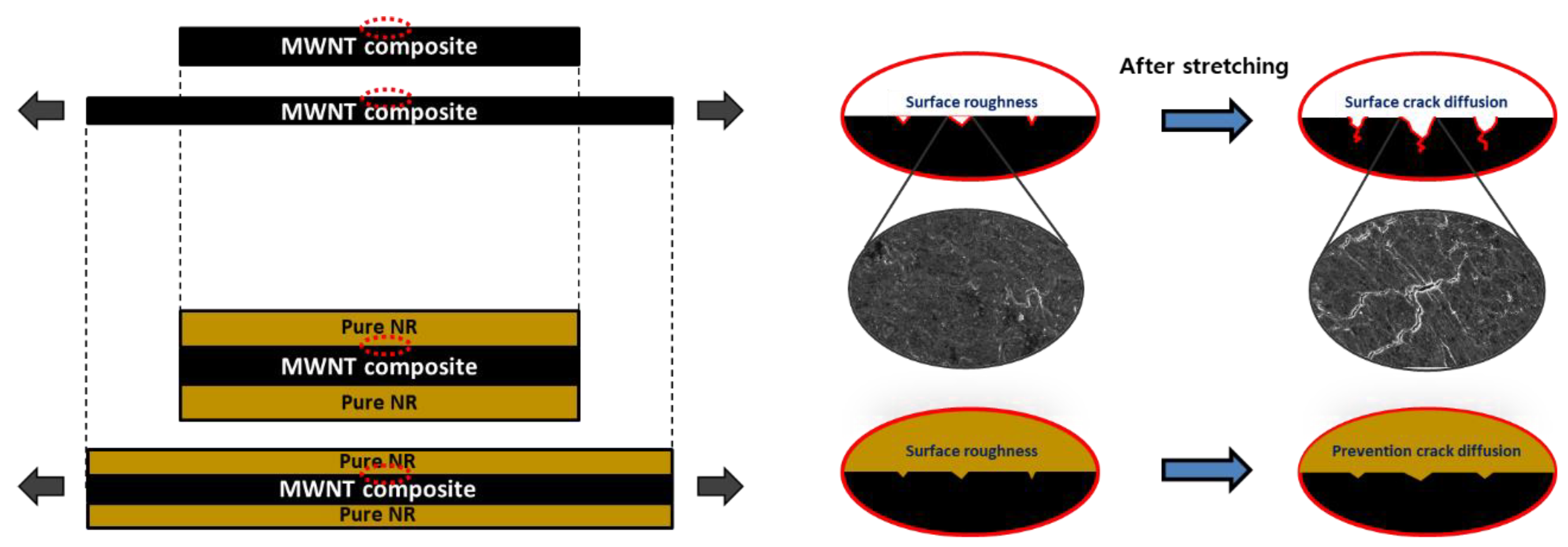 Polymers 14 02551 g008 550