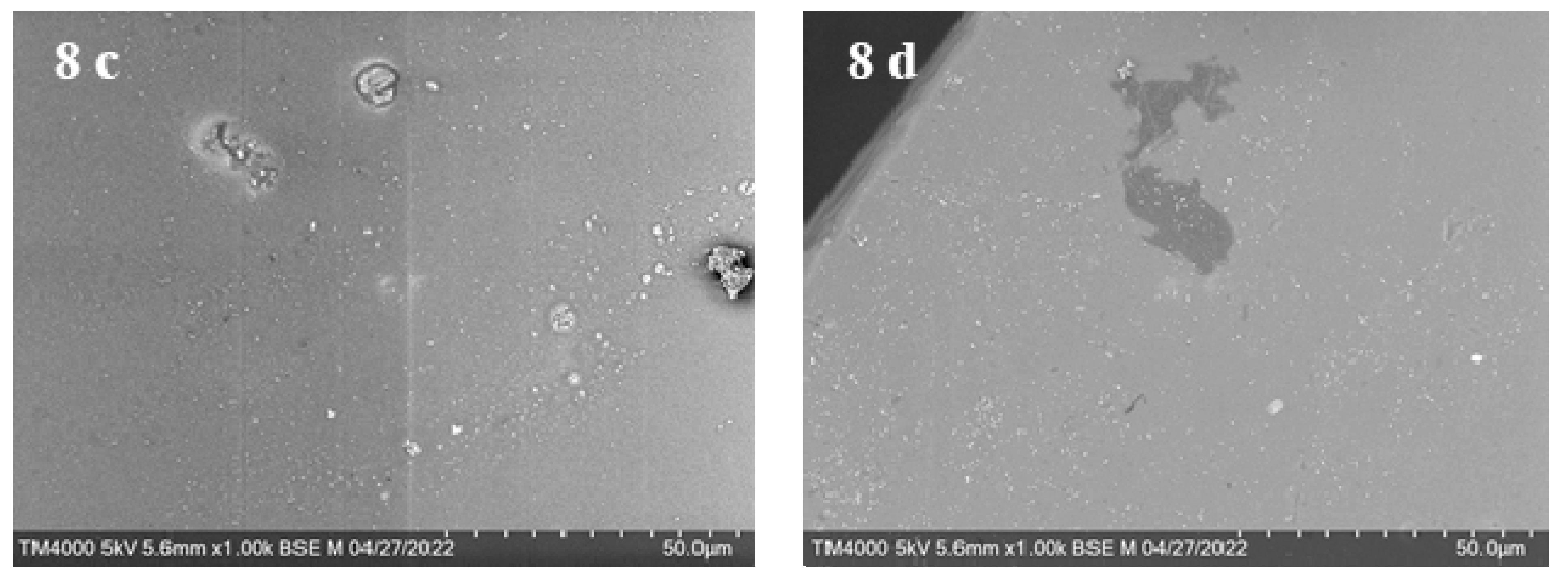 Polymers 14 02554 g007b