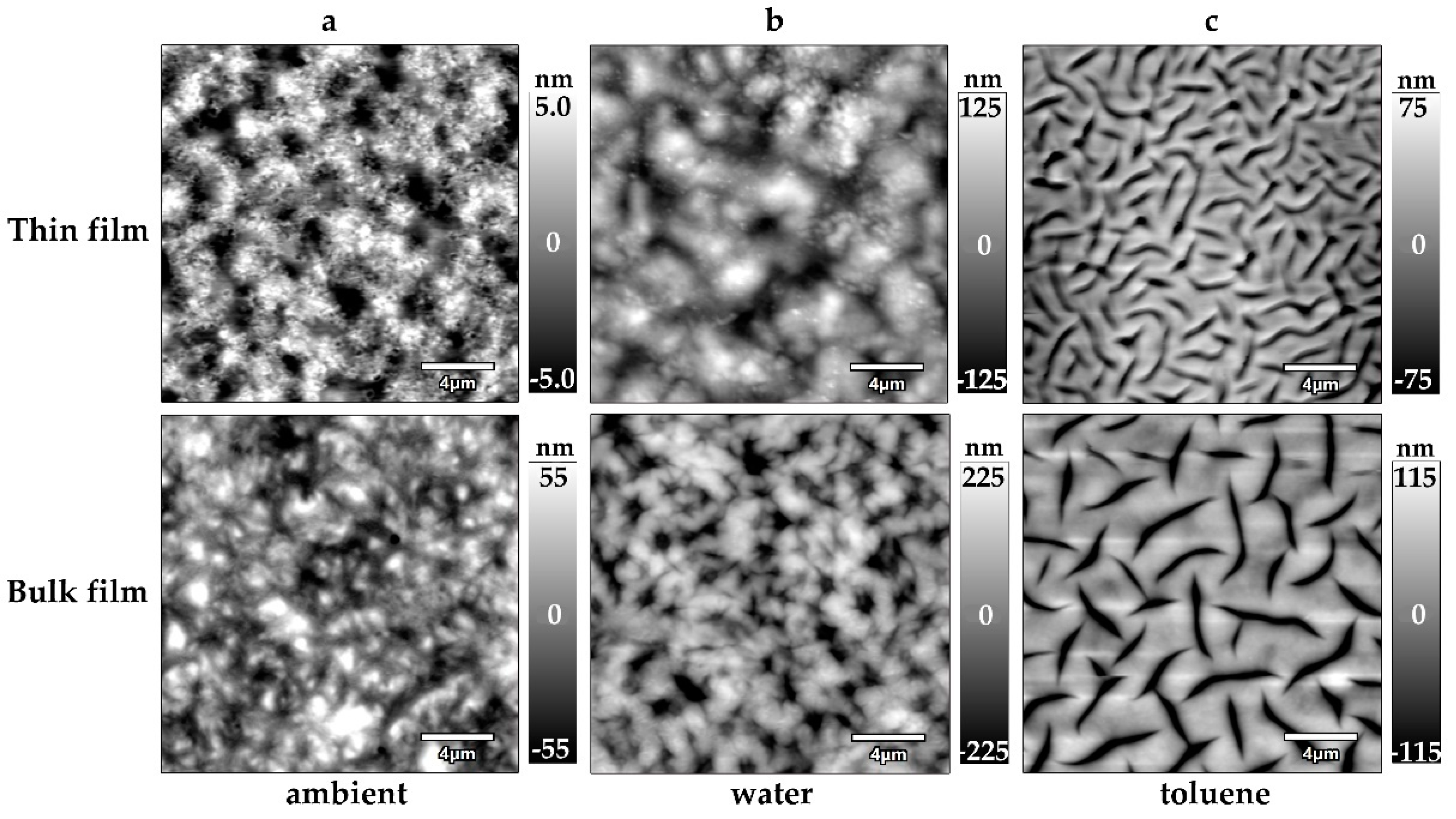 Polymers 14 02555 g004