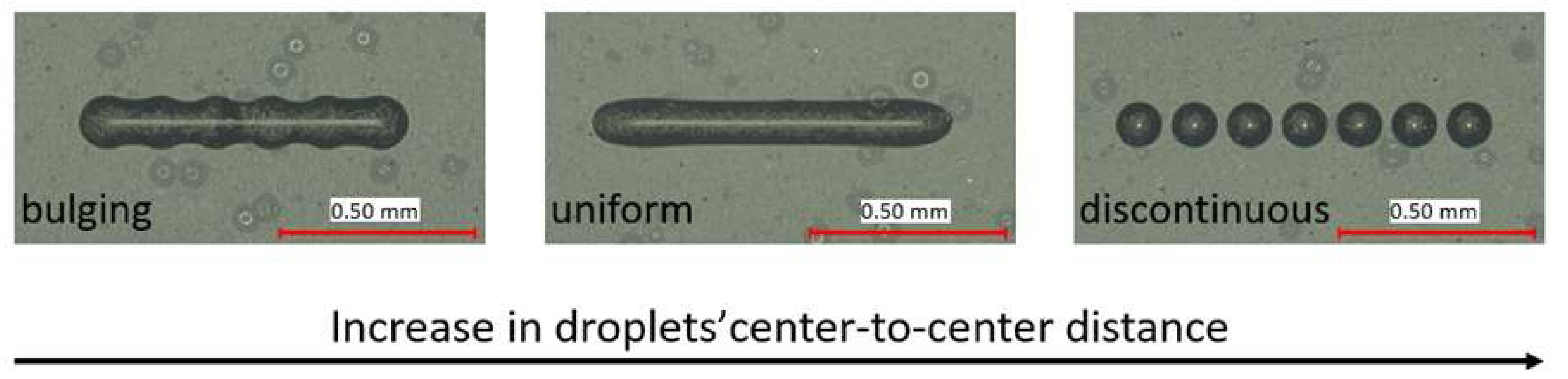 Polymers 14 02557 g002