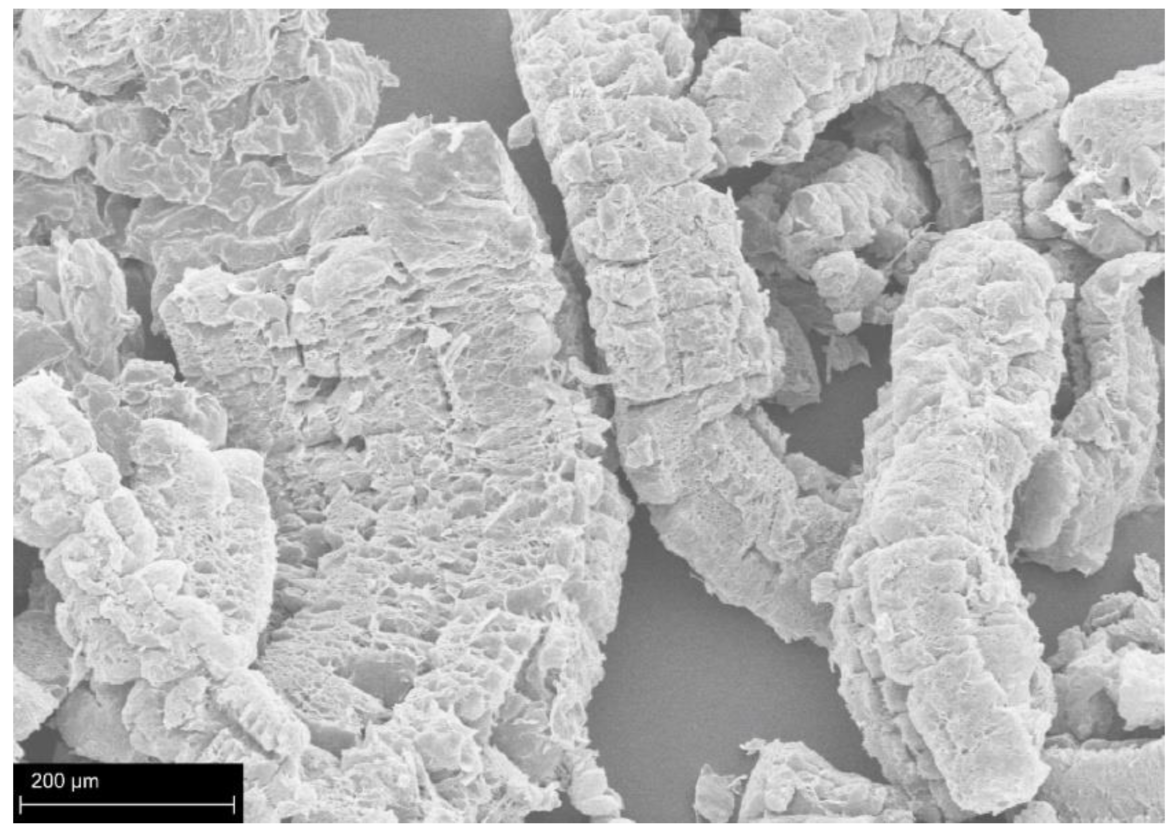 Polymers 14 02562 g007