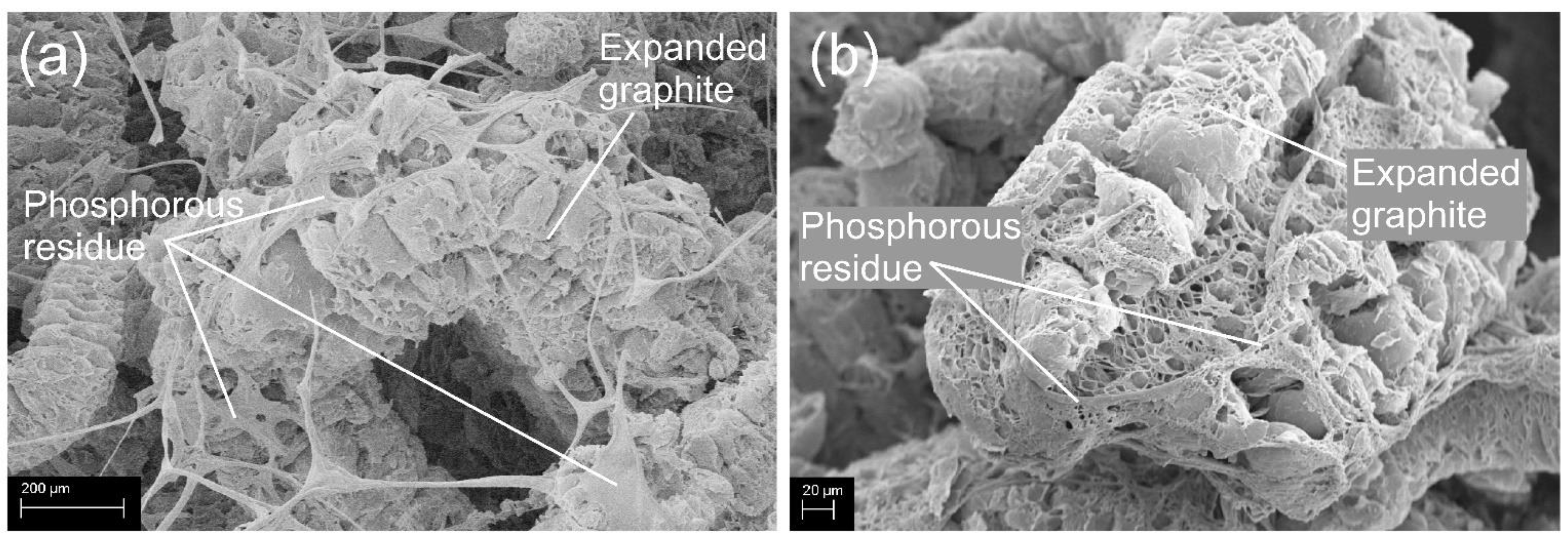 Polymers 14 02562 g011