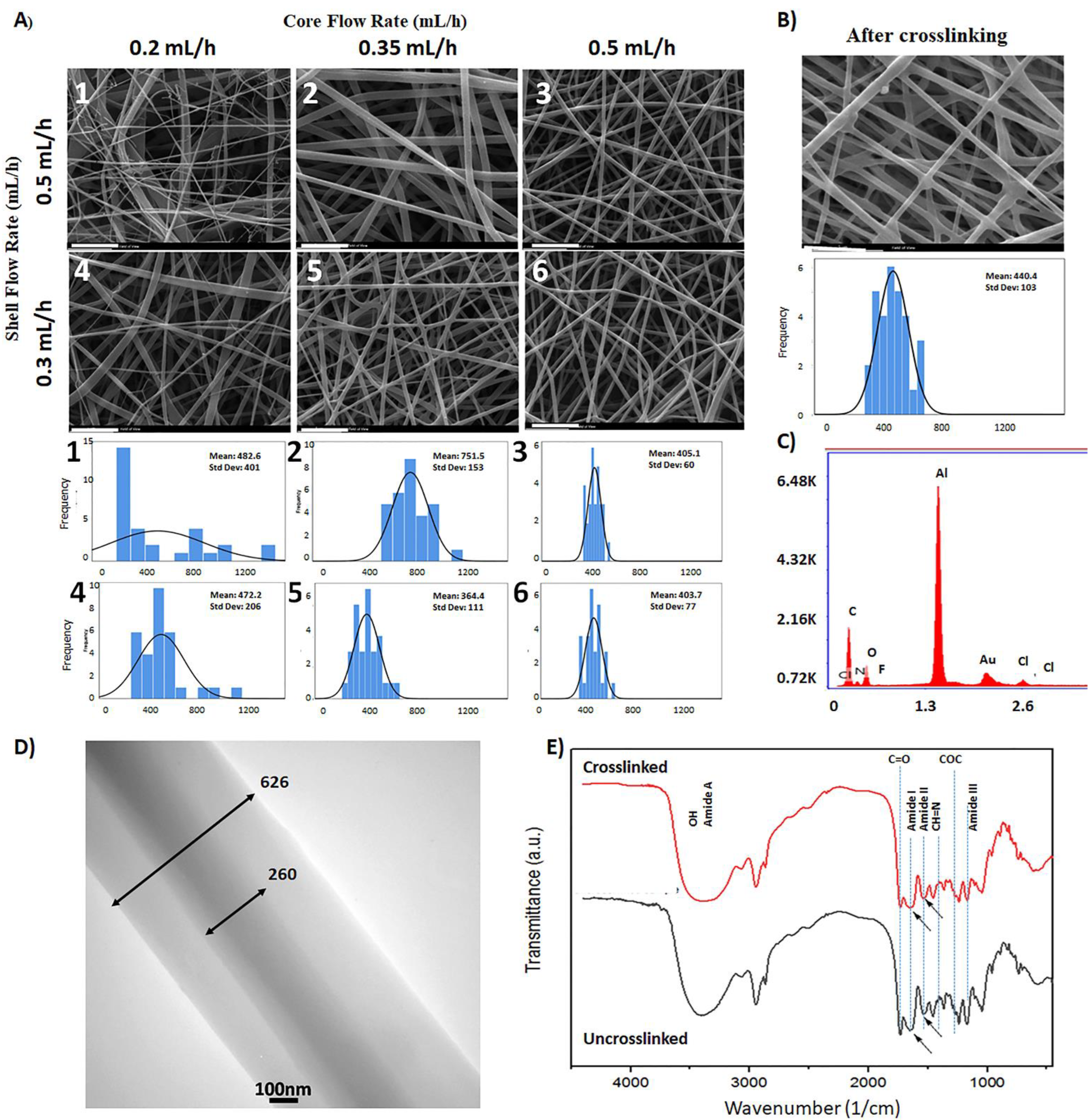 Polymers 14 02565 g001 Polymers 14 02565 g001