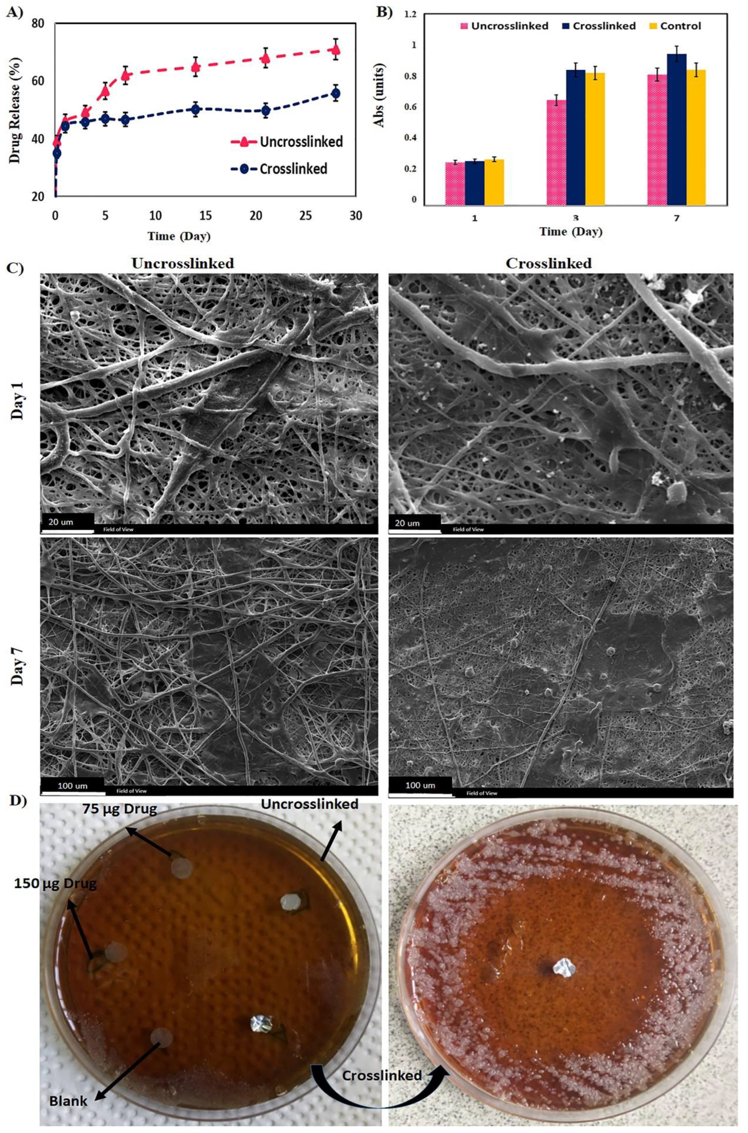 Polymers 14 02565 g003 Polymers 14 02565 g003