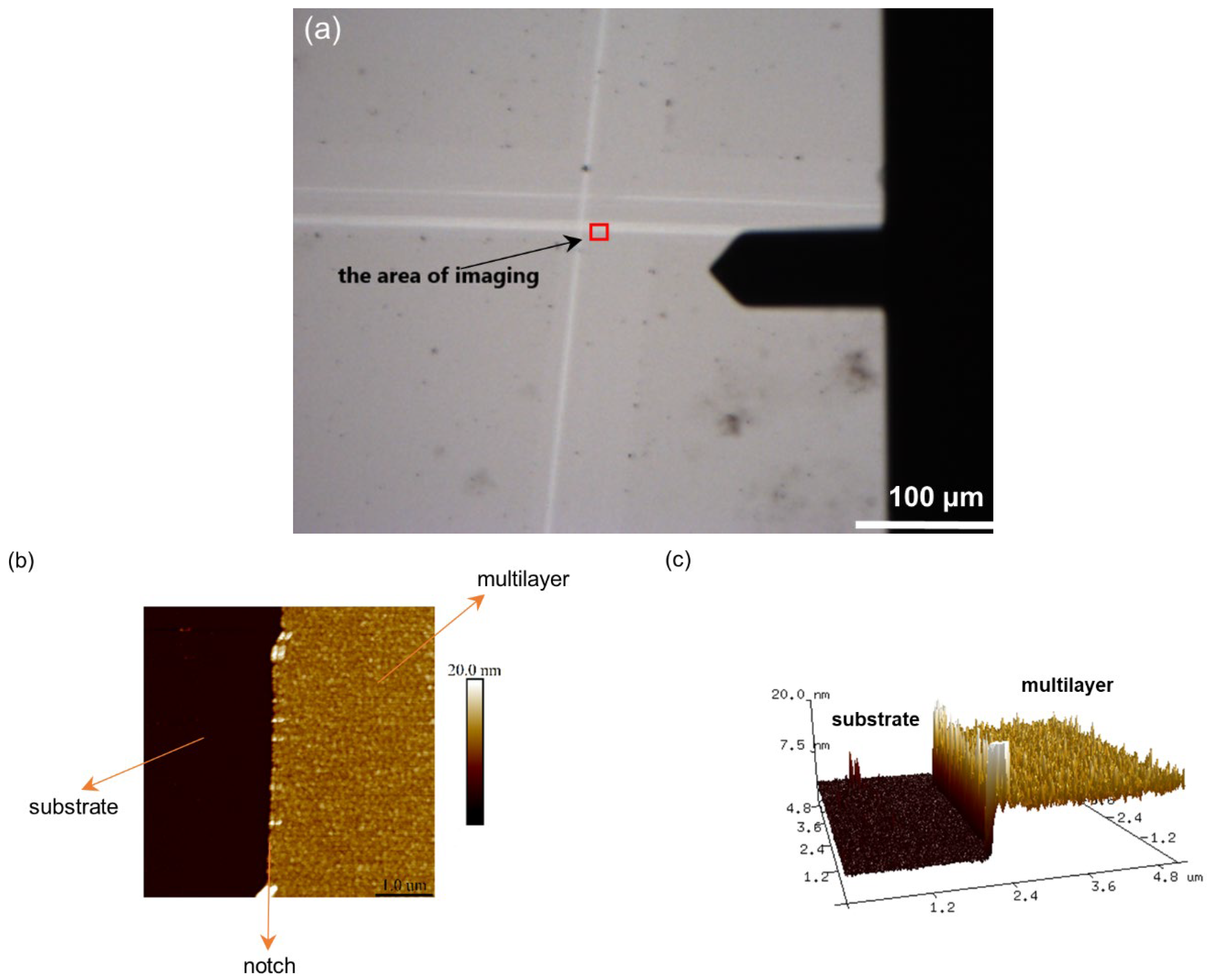 Polymers 14 02566 g005
