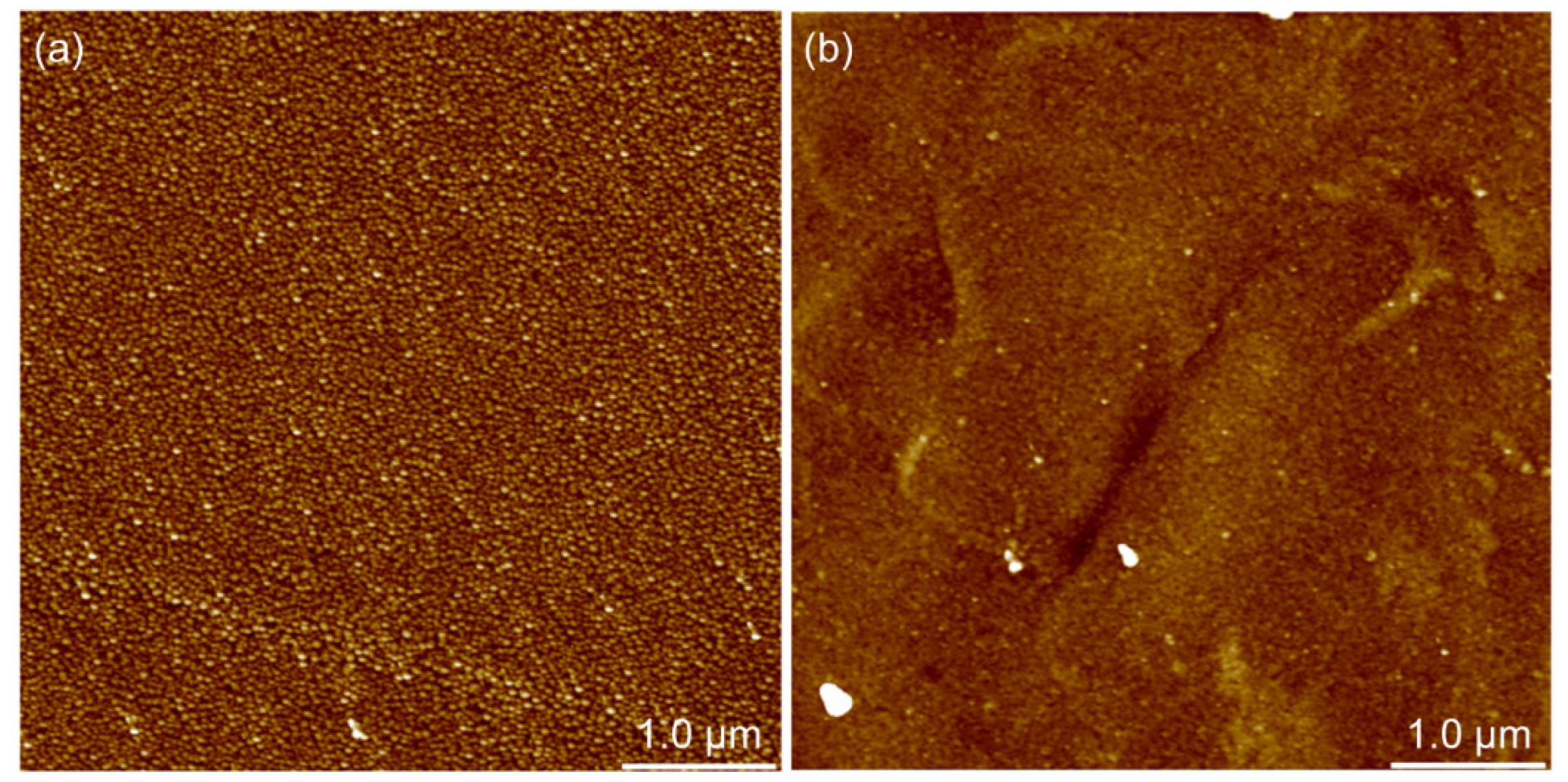 Polymers 14 02566 g007
